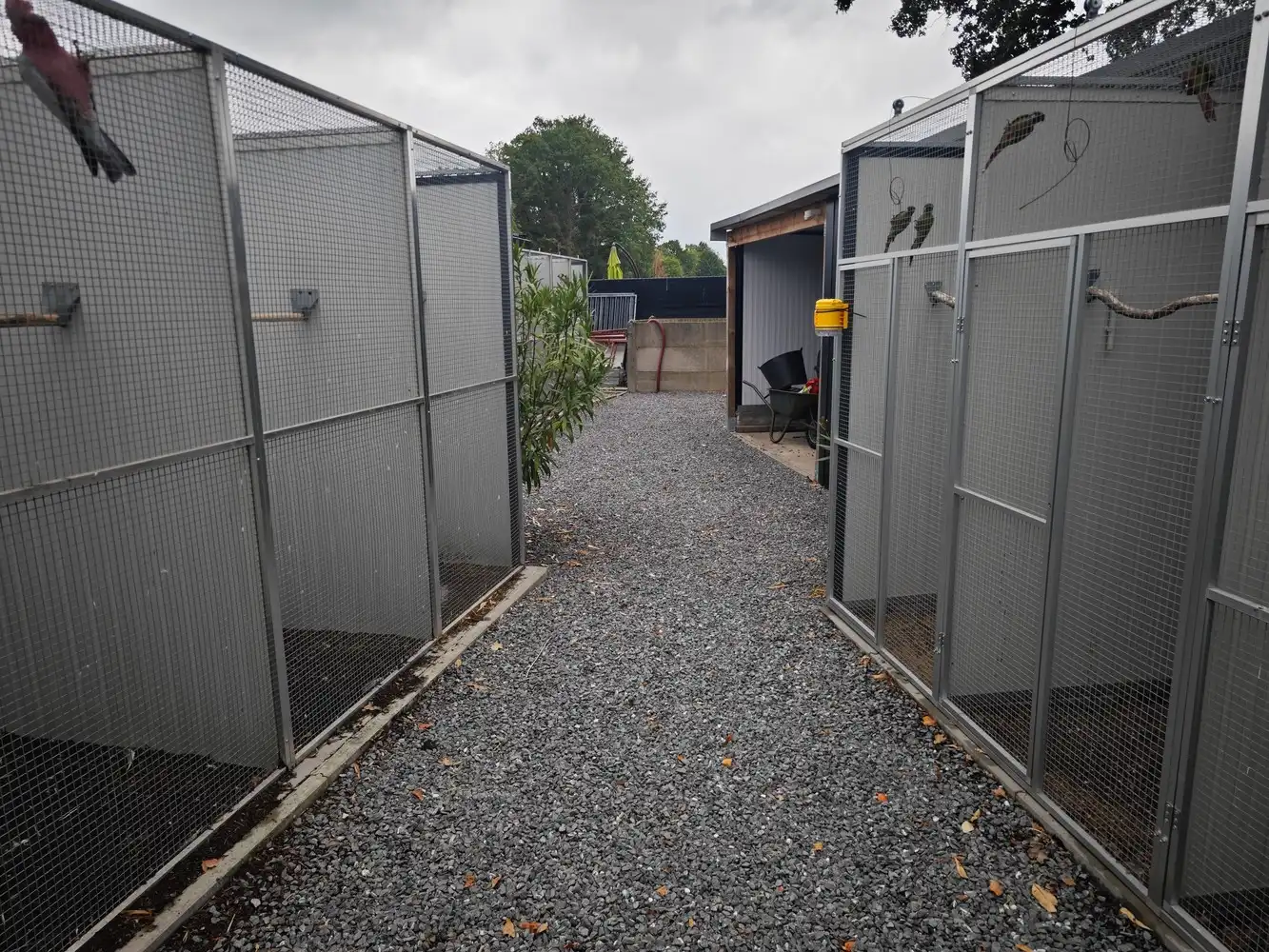 Grotendeels gerenoveerde woning op 16a78ca foto 51