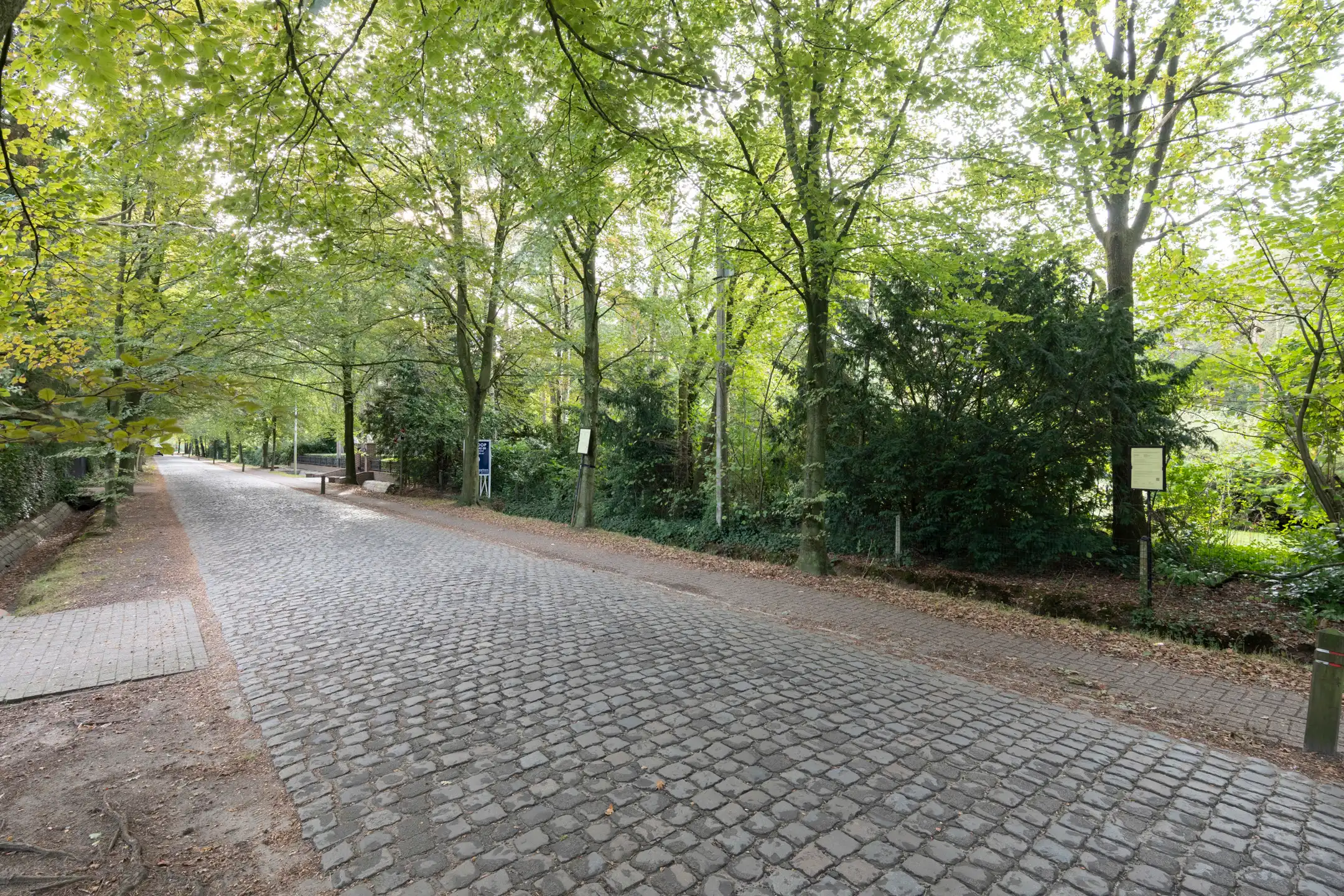 Perceel bouwgrond van 4.450 m² met perfecte zuidoriëntatie foto 4