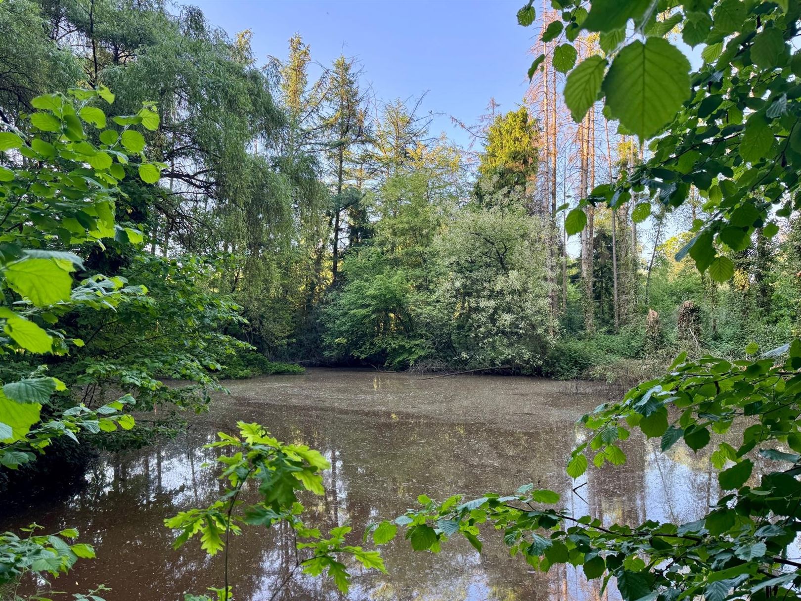 ()=>{if(producerUpdateValueVersion(node),producerAccessed(node),node.value===ERRORED)throw node.error;return node.value} Puttekensberg 19 - 2275 LILLE