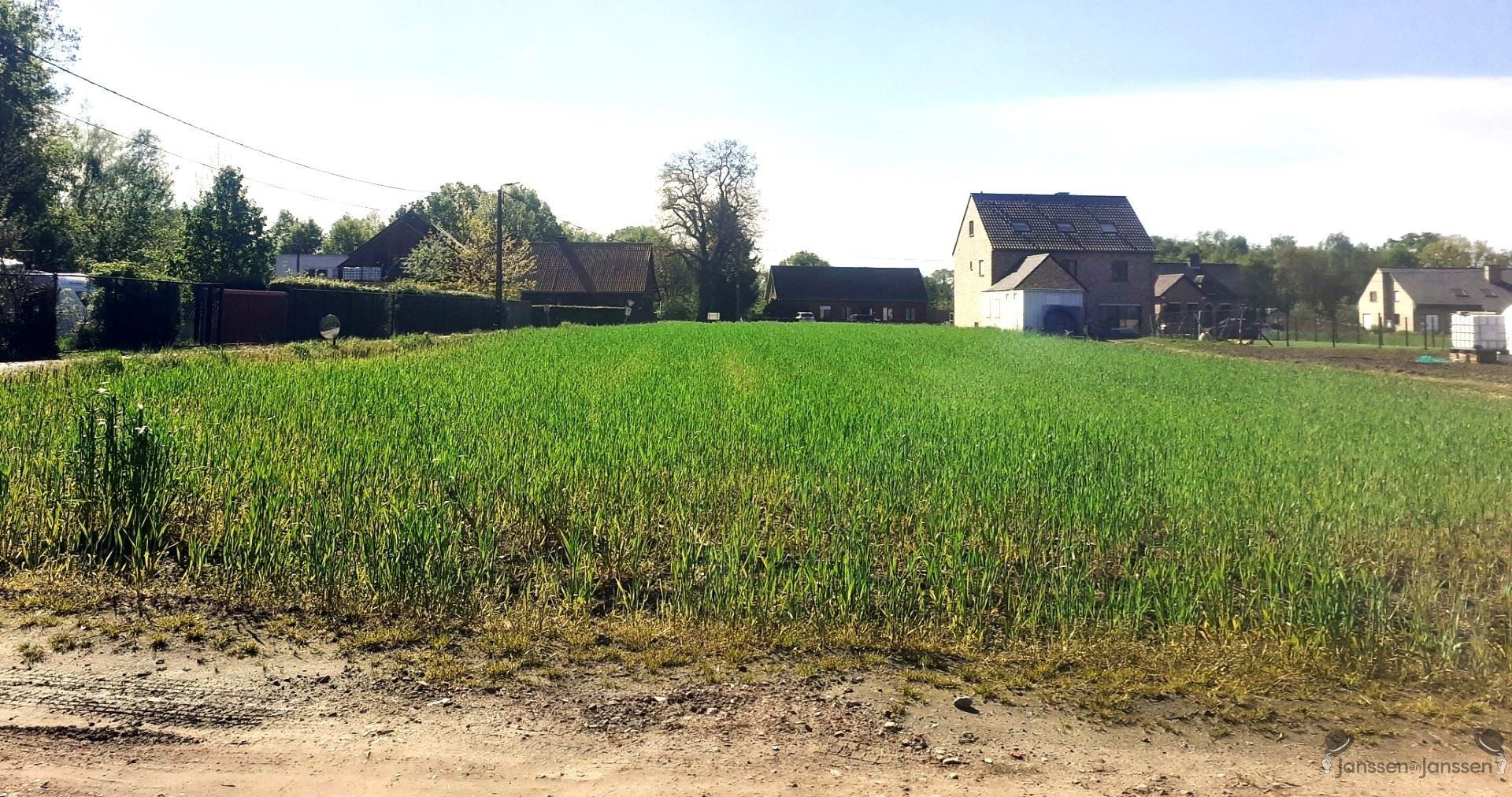 Ruime bouwgrond(2544m²) open bebouwing te Baal. foto 4