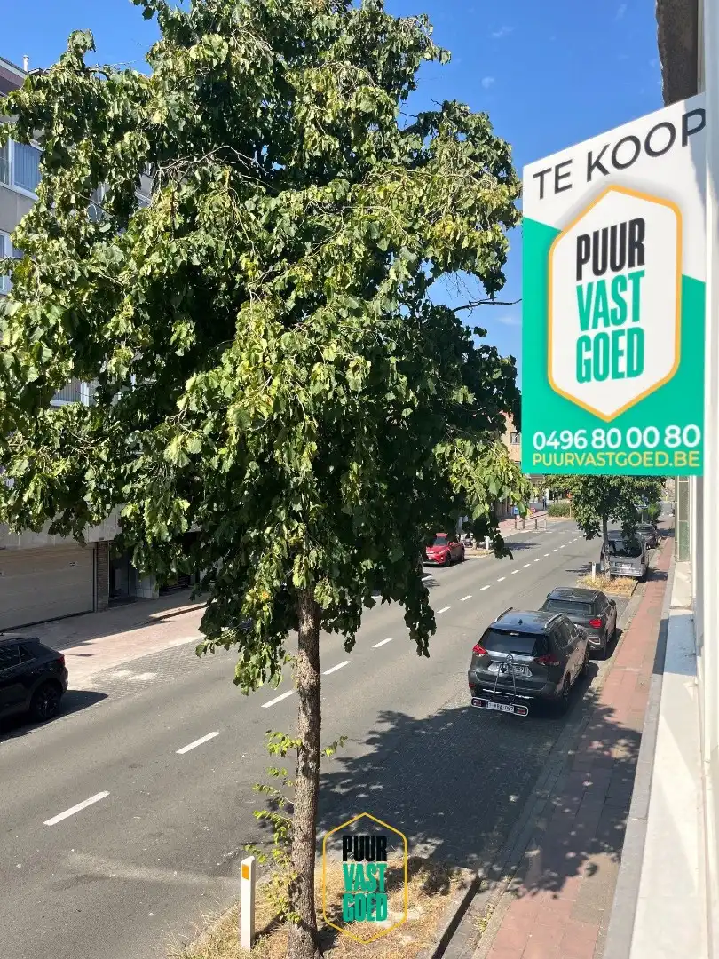 Ruim appartement met 2 slpk's en bureau met uitzonderlijk groot terras  foto 14