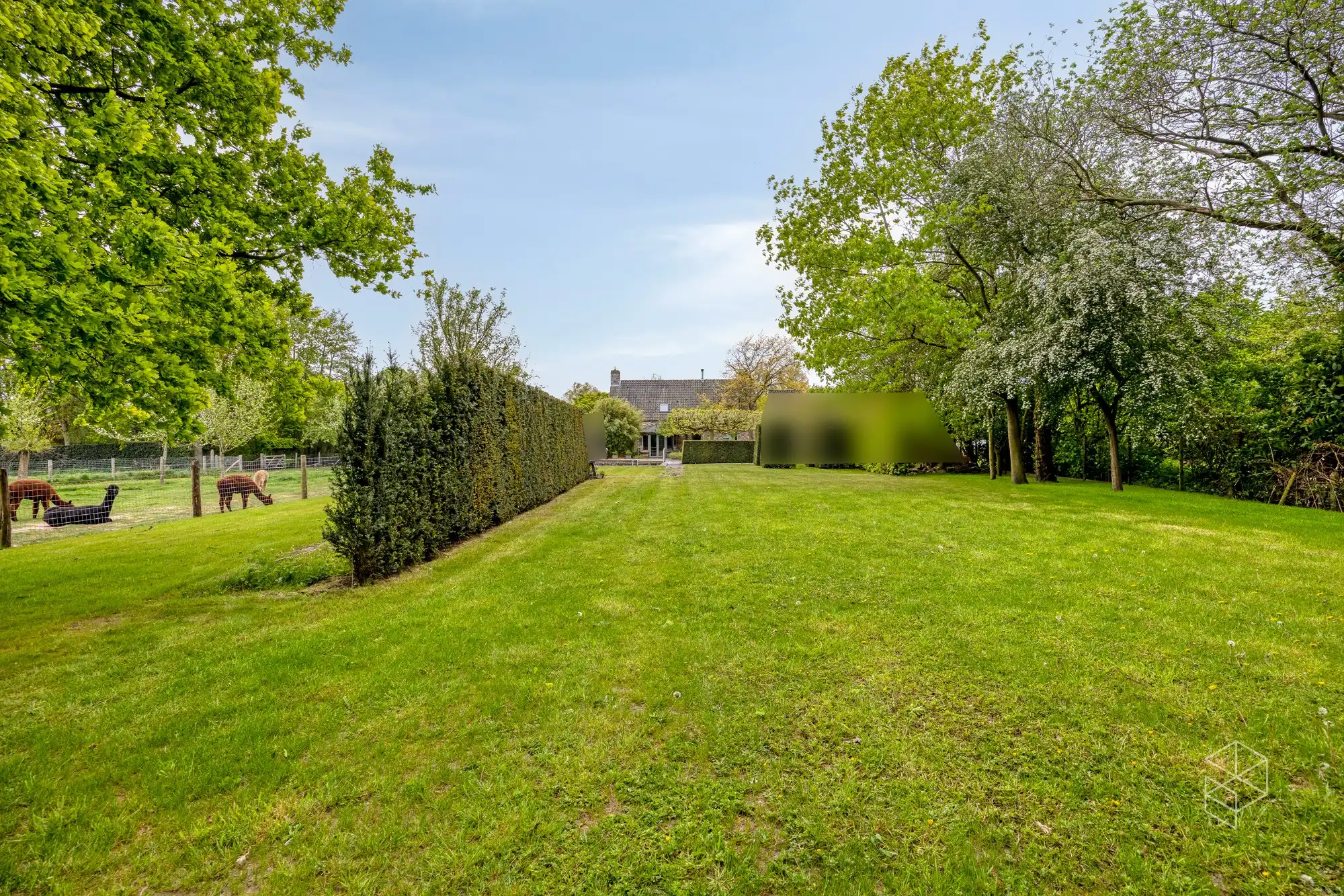 Karaktervolle villa met polyvalent bijgebouw, zwemvijver & aangelegde tuin met uitweg op 4.012m² foto 18