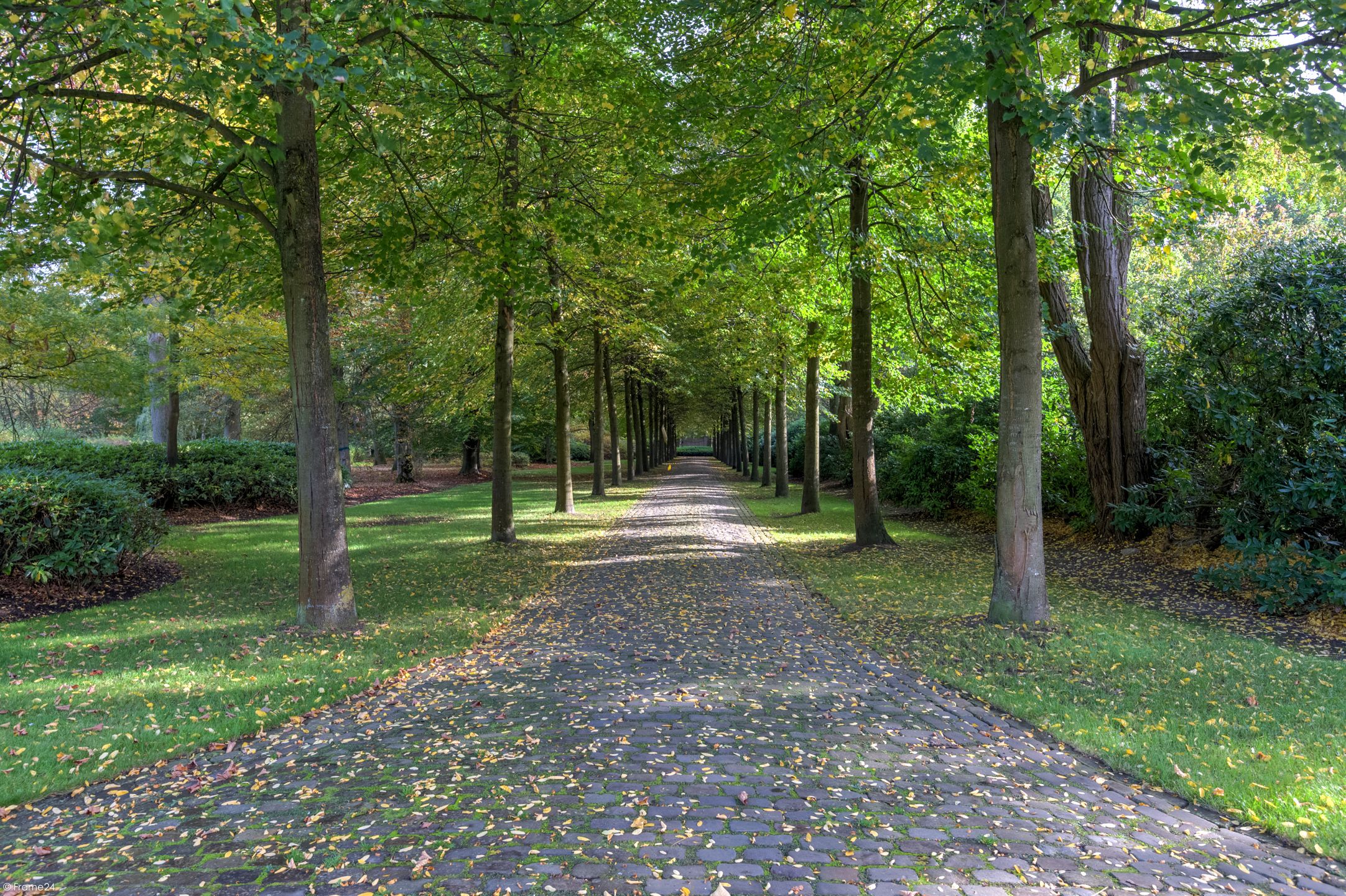 Uitzonderlijk object te Kapellen! foto 25