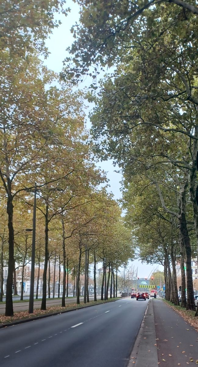 Studio vol licht en mogelijkheden, op toplocatie foto 12