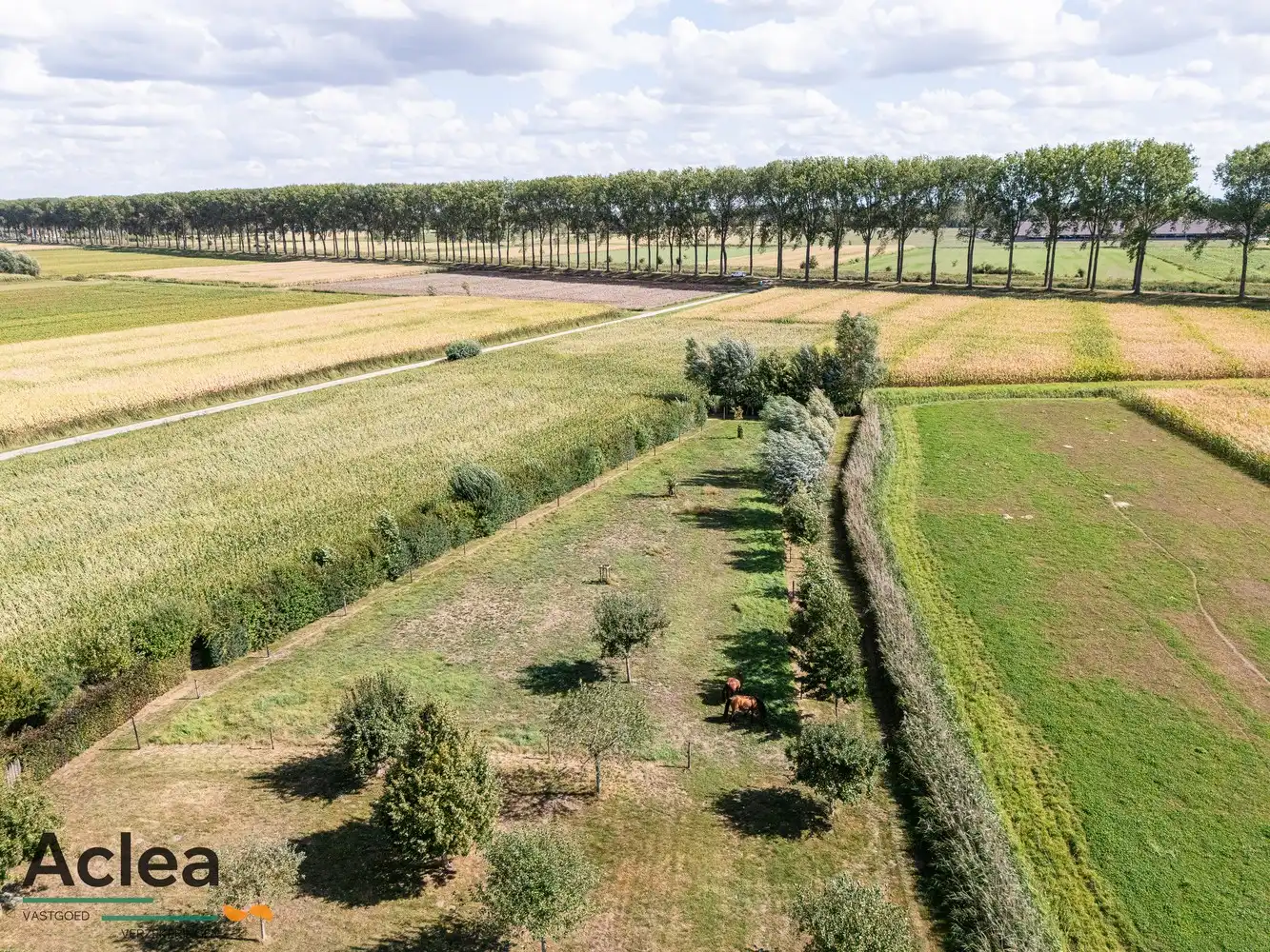 Karaktervol landhuis met paardenstal op 5.943m² in een groene omgeving foto 36