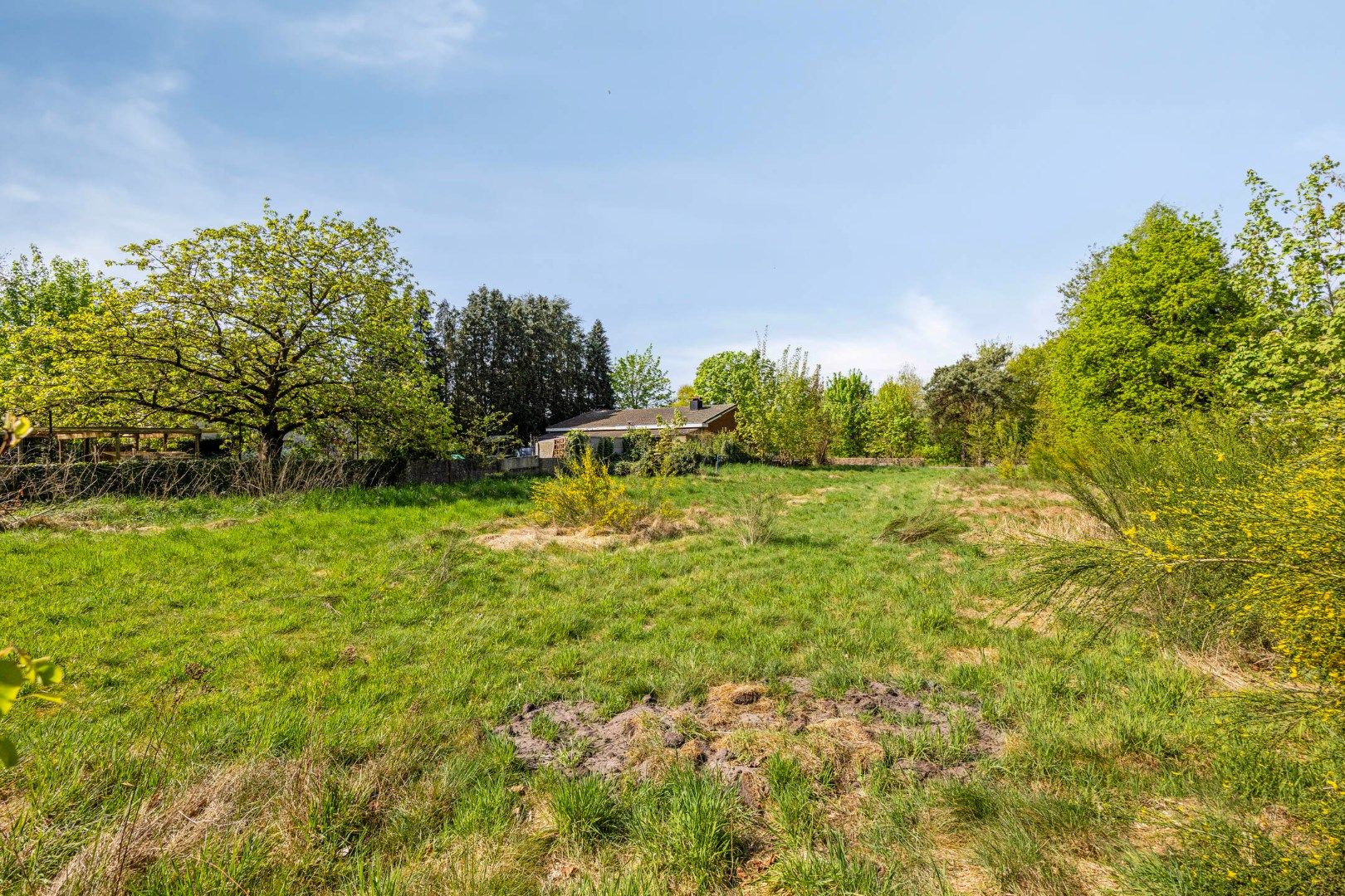 Prachtig gelegen bouwgrond van 1.277 m² voor ruime open bebouwing ! foto 22
