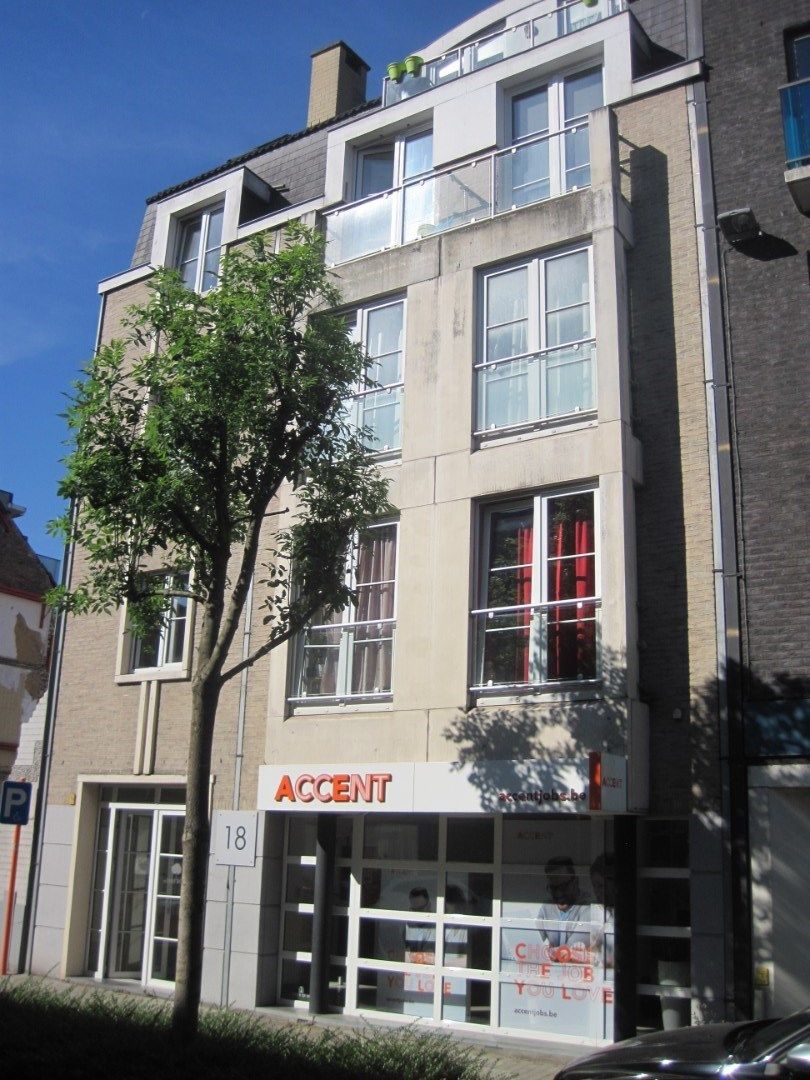 Knus appartement in centrum Oudenaarde. foto 8