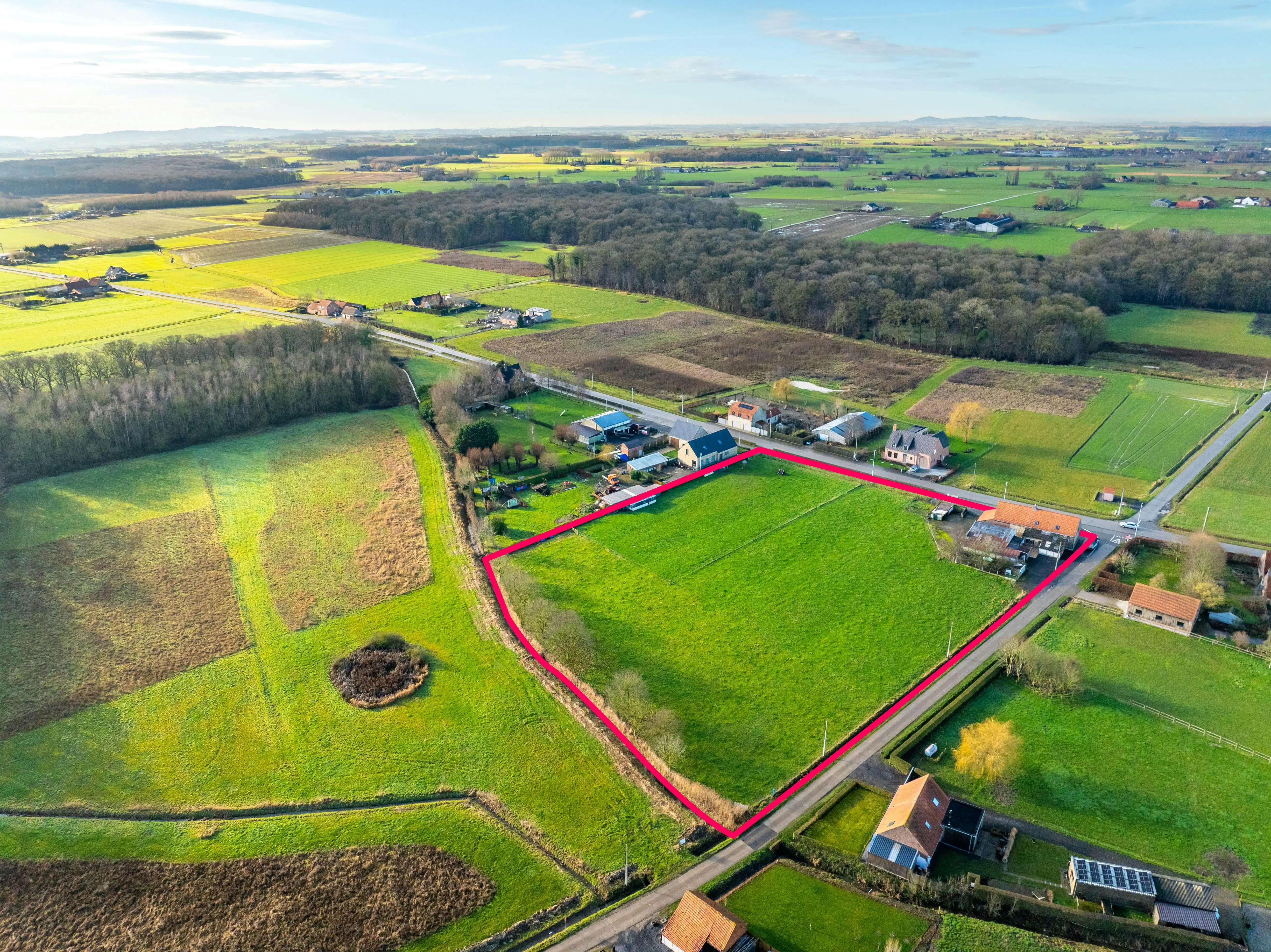 Alleenstaand huis met weide te koop op 12.055 m² foto 5