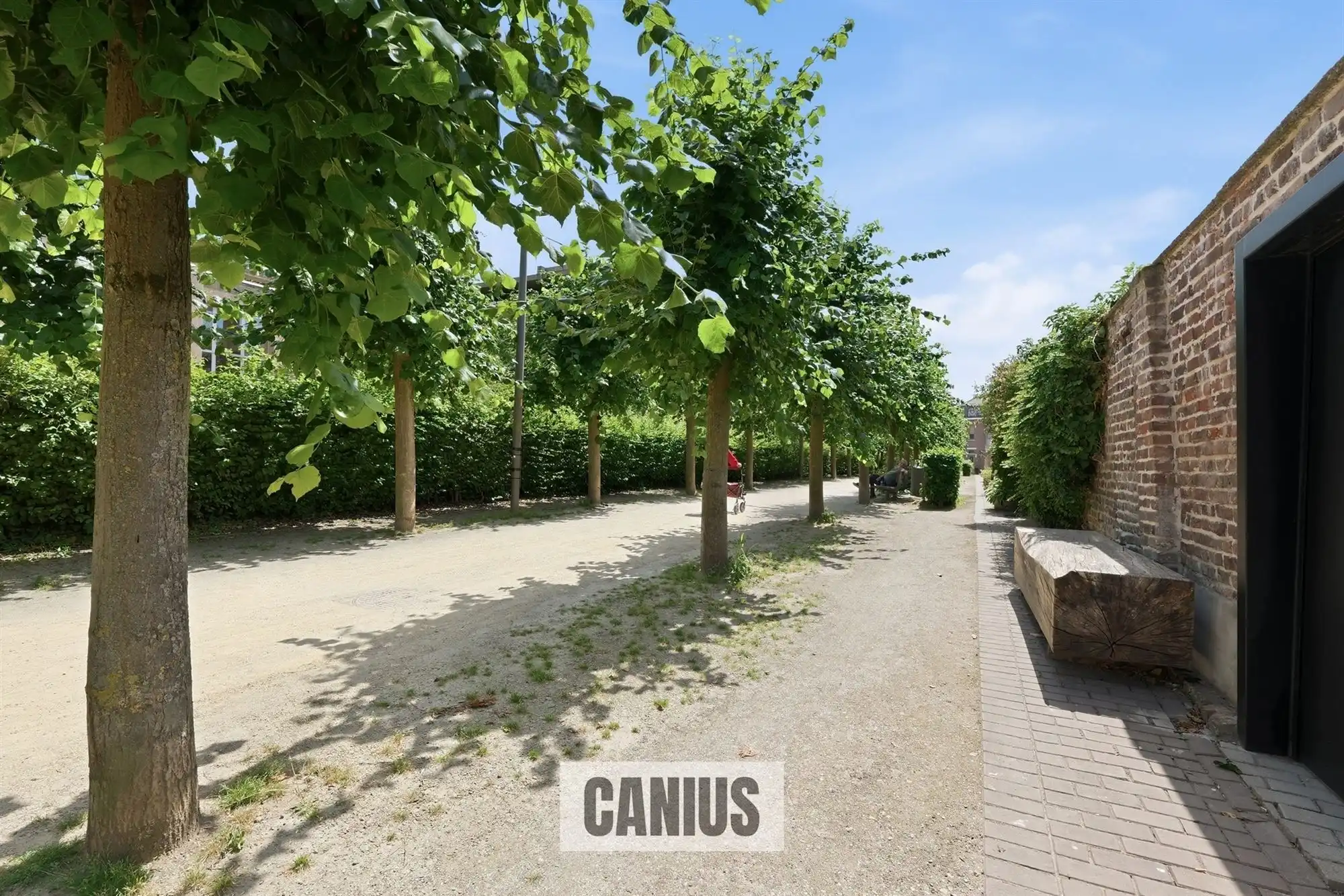 PRACHTIGE STADSWONING MET 3 SLKS IN HARTJE SINT-TRUIDEN foto 27