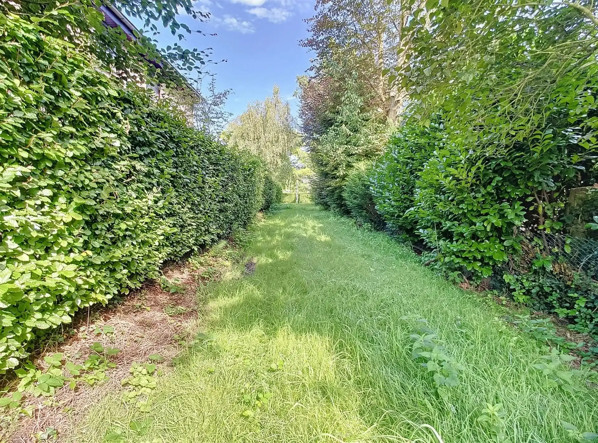 Exclusieve bouwgrond van 2.466 m² foto 5