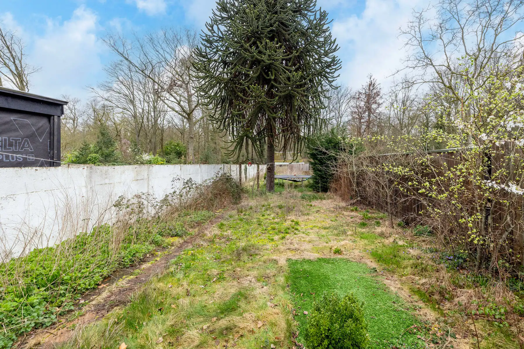 HOB met 3/4 slpk, voor- en zijdeur, garage en tuin op 702m² foto 18