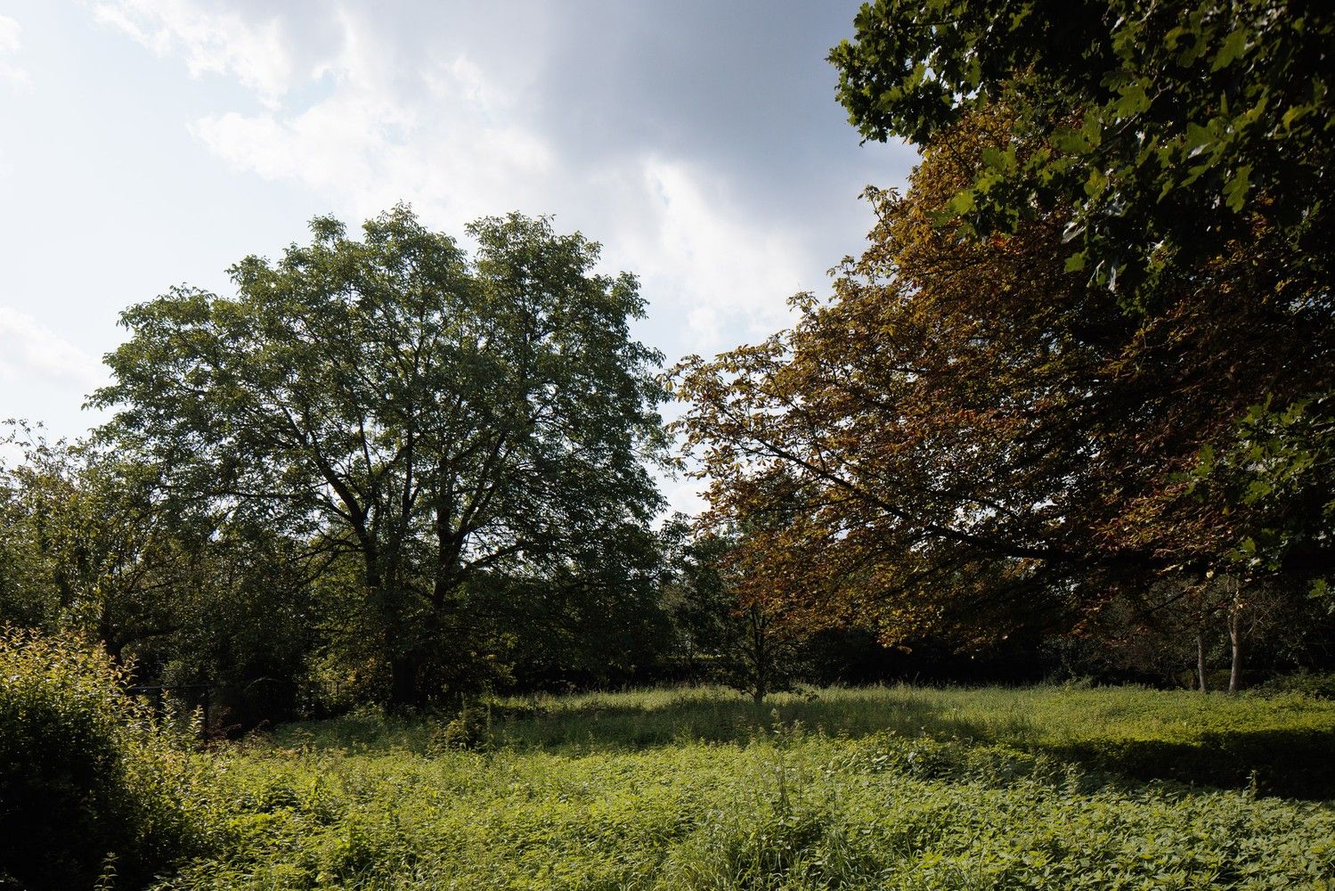 Bouwgrond van ca. 658m2 voor HOB op gunstige locatie. foto 7