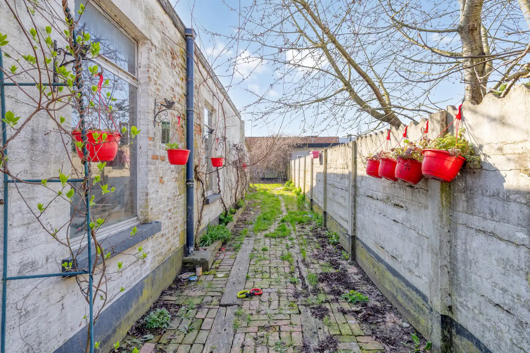 Woning met 4 slaapkamers, tuin en grote garage/magazijn  foto 8