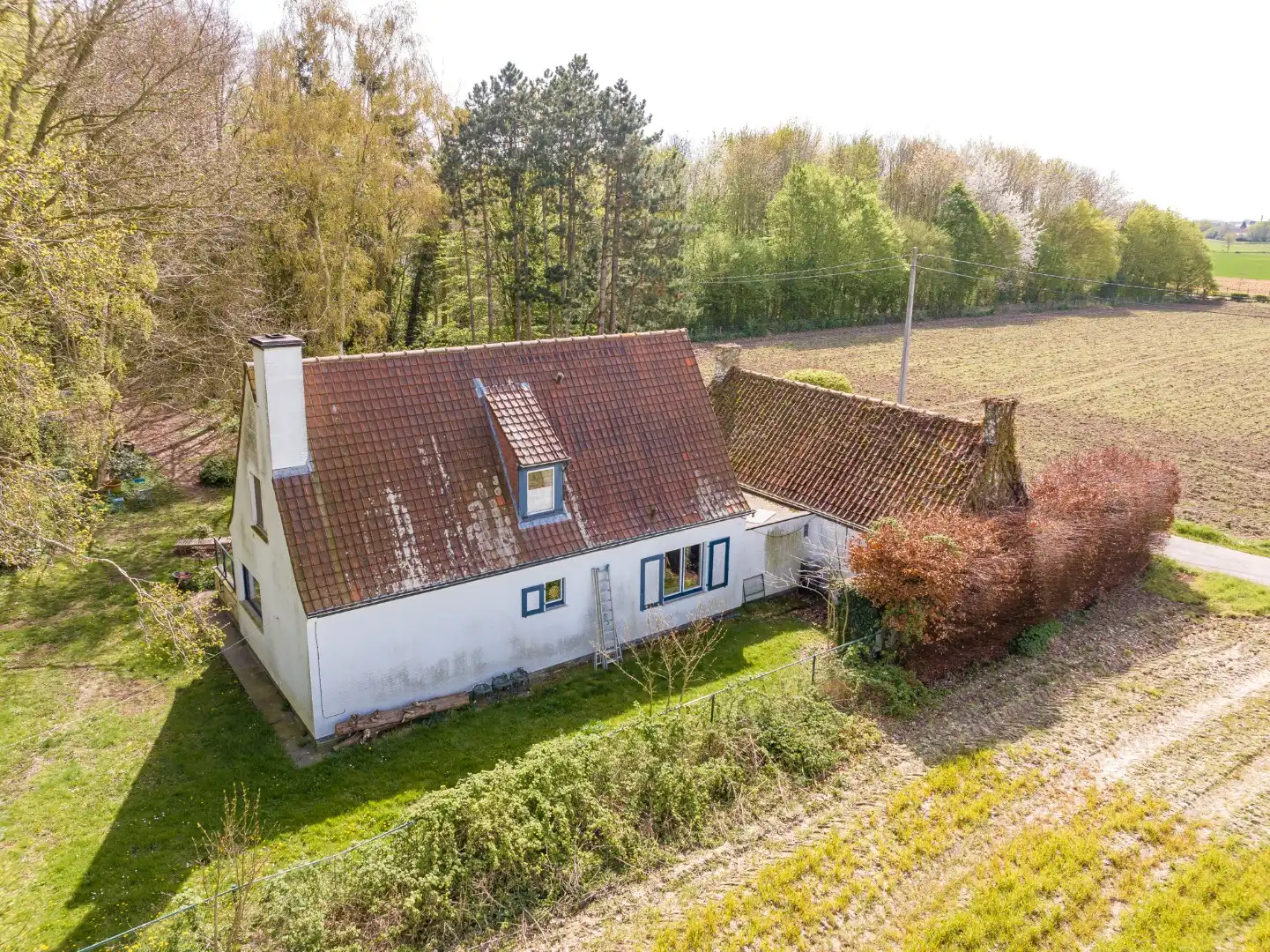 Exclusieve alleenstaande woning te koop in het idyllische en landelijke Kooigem foto 4