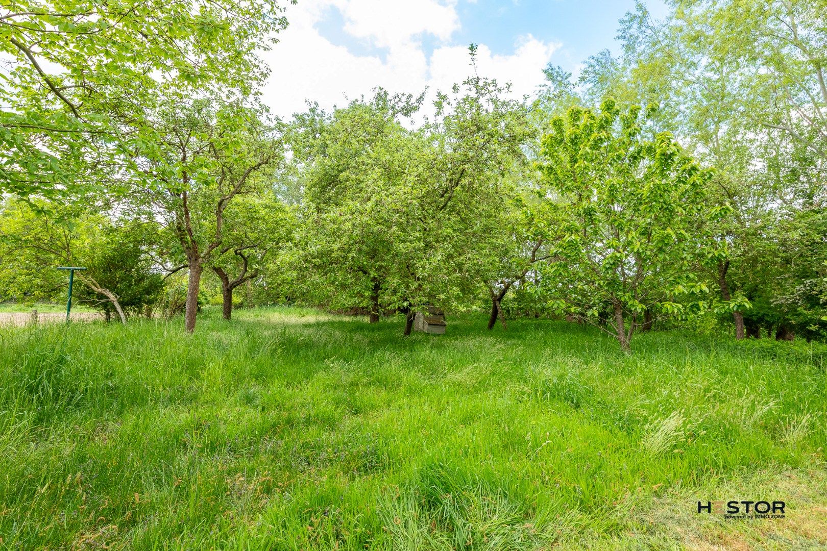 Karaktervolle villa in landelijke omgeving te Hamme! foto 18