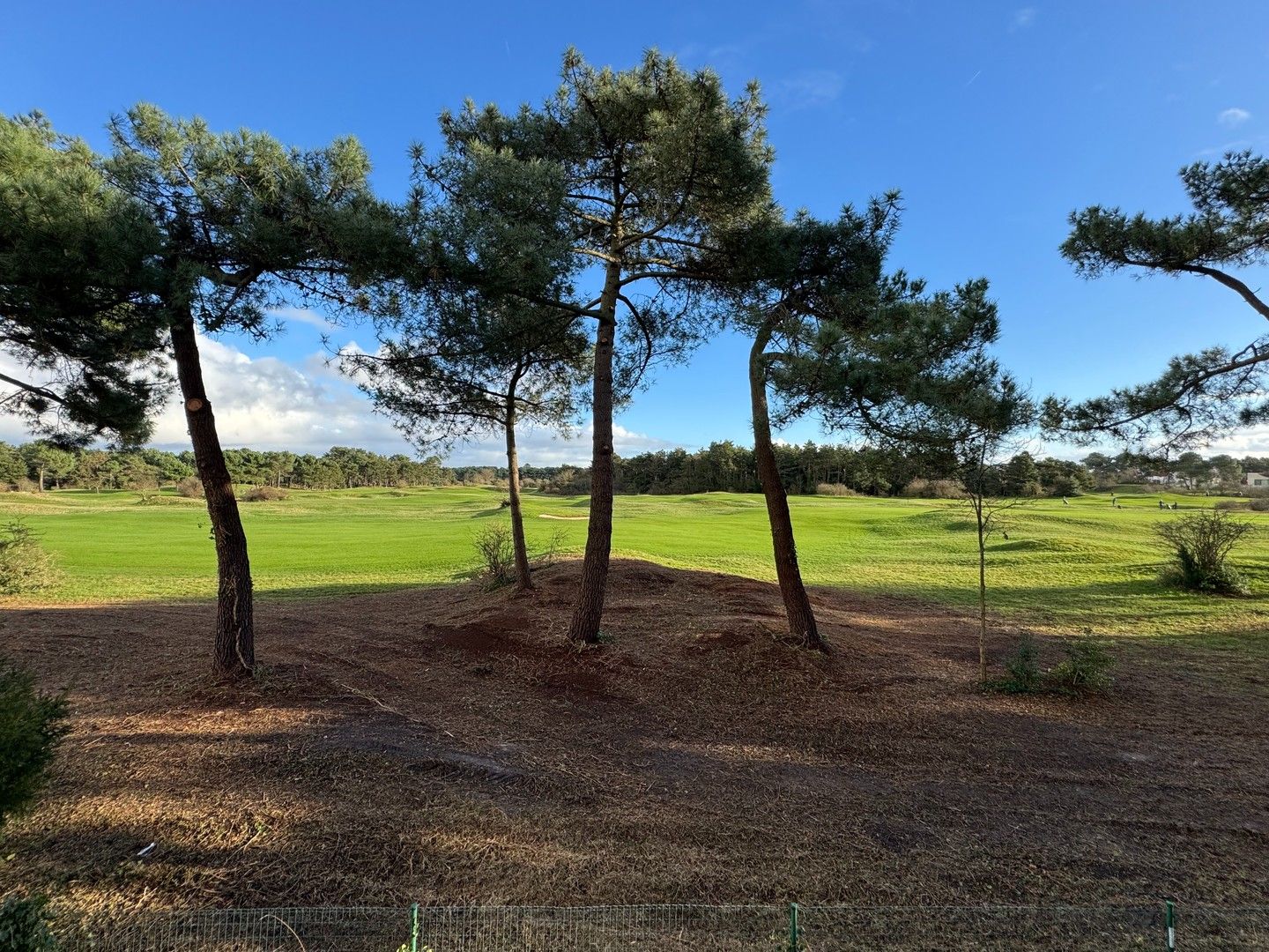 Hoofdfoto van de publicatie: Te renoveren charmante koppelvilla gelegen in een paadje met panoramisch open zicht op de Royal Zoute Golf.