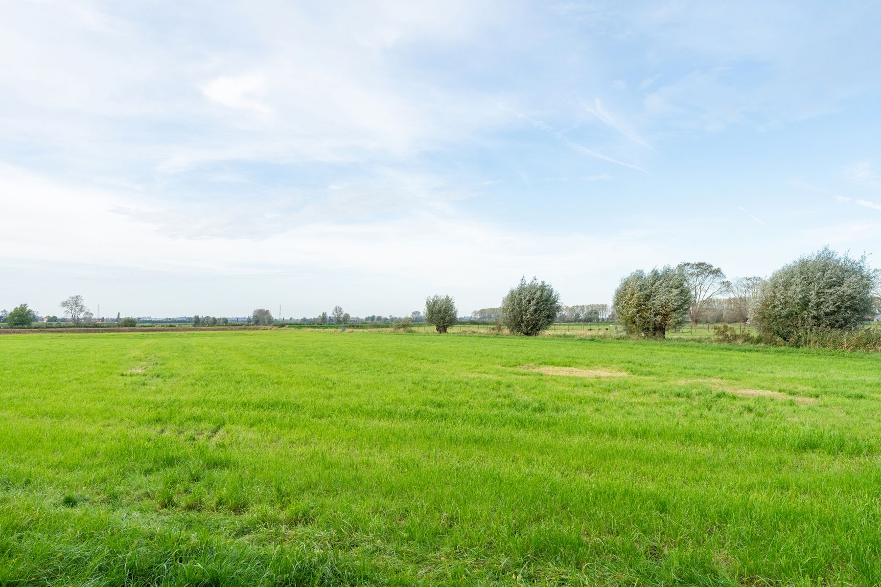 Te renoveren woning met uniek verzicht op 639m² foto 4