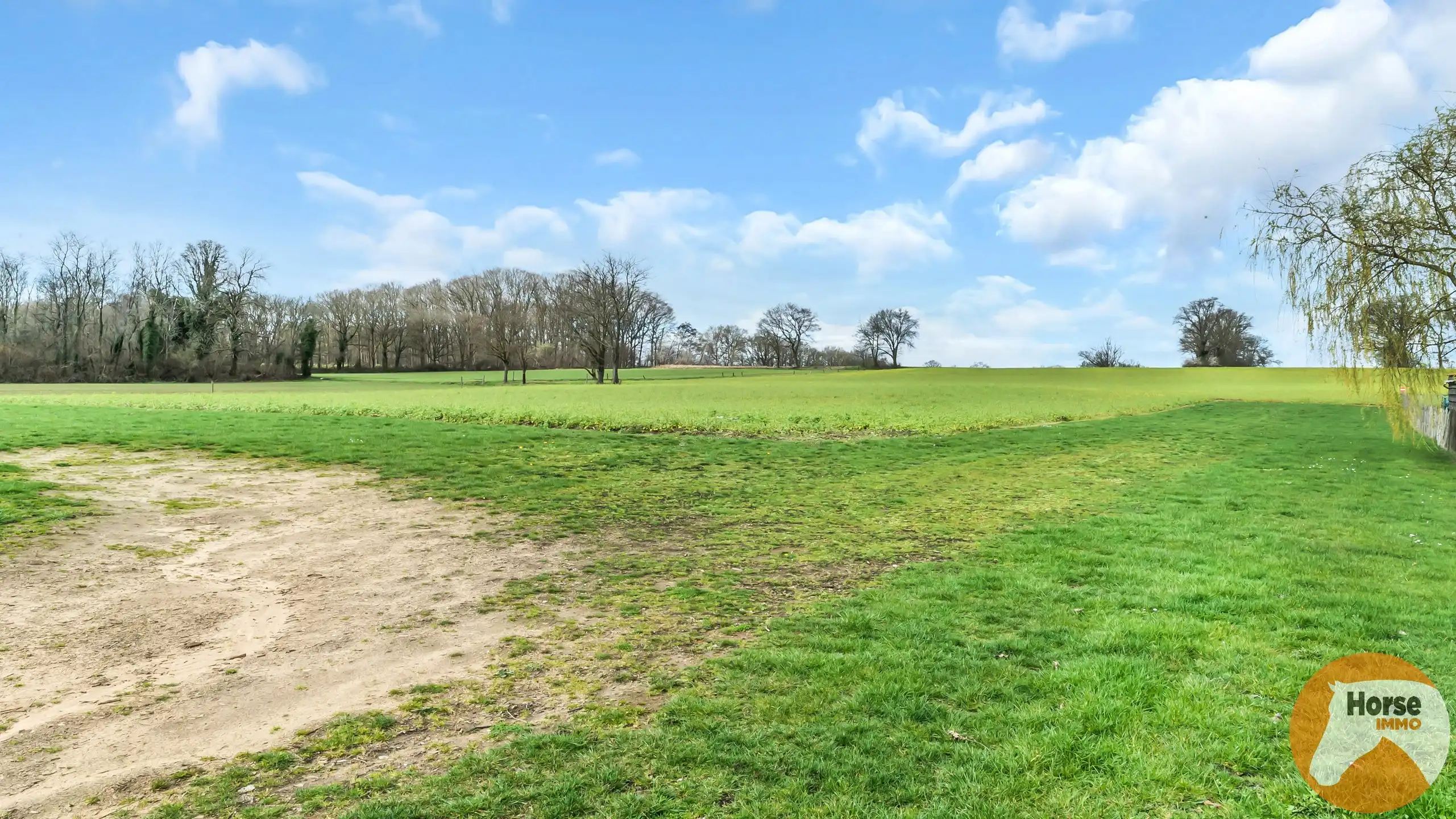 PAAL - Landelijk doch centraal gelegen langgevelhoeve op 5ha2  foto 6