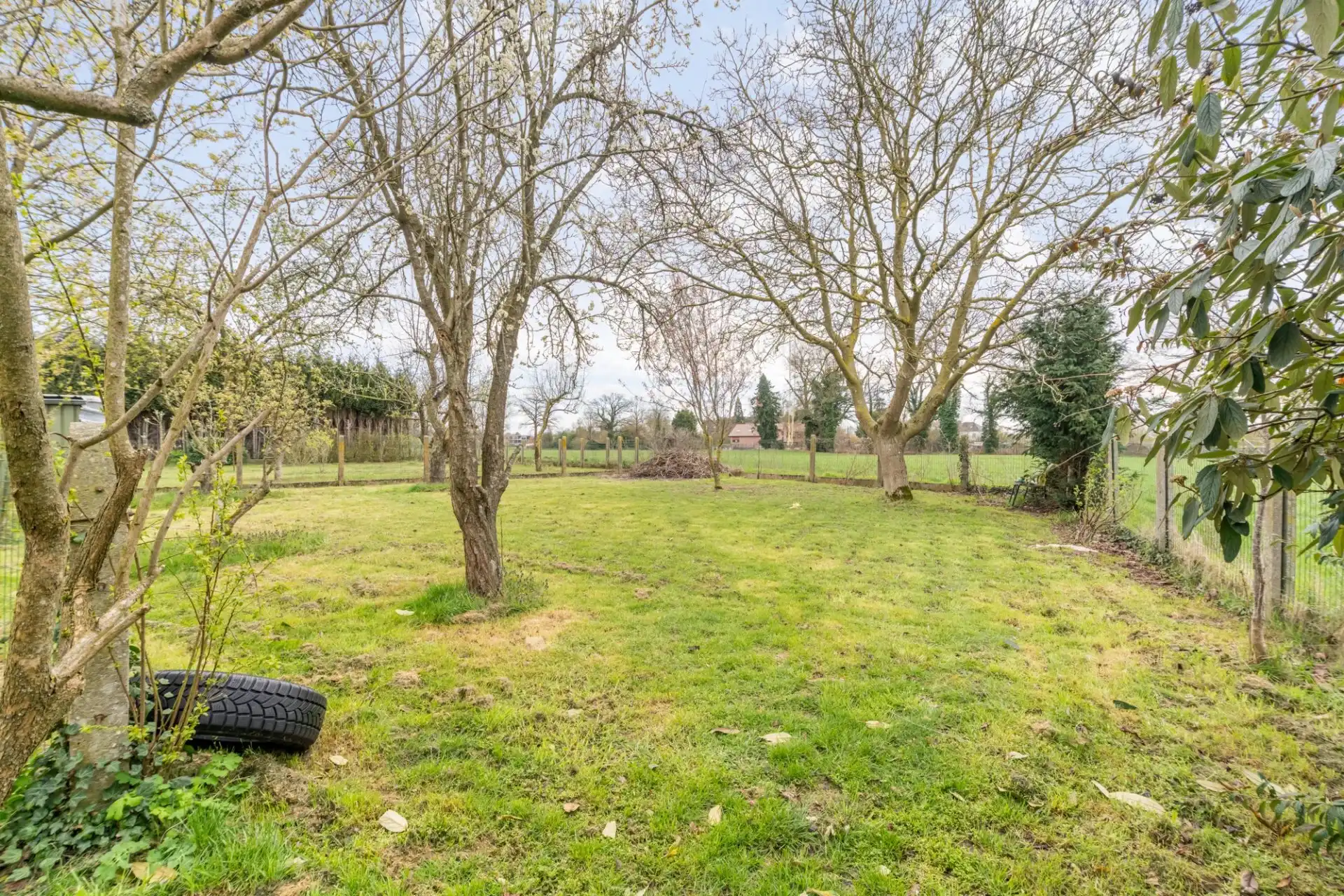 Ruime woning op een prachtig perceel te Koersel foto 17
