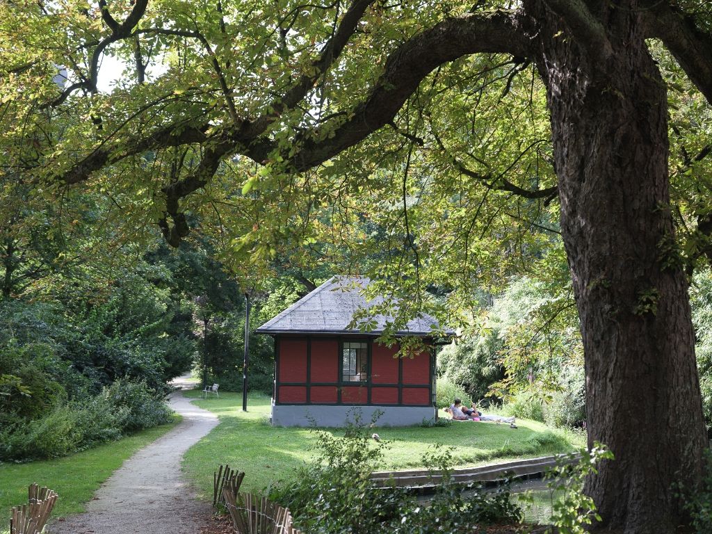 Hoekappartement met uniek zicht over het Zuidpark op de 7de verdieping foto 13