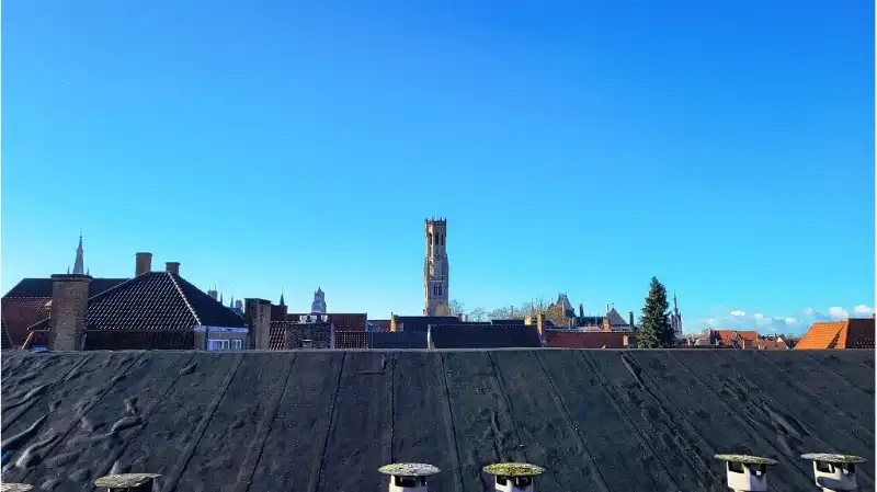 Vernieuwd 1-slaapkamerappartement met Terras te huur in Brugge foto 9