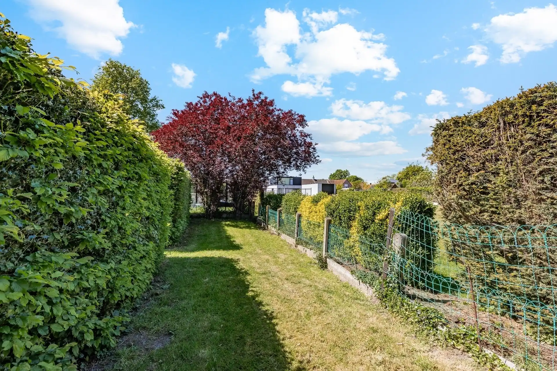 Charmante woning met grote tuin nabij het centrum van Kalken! foto 28