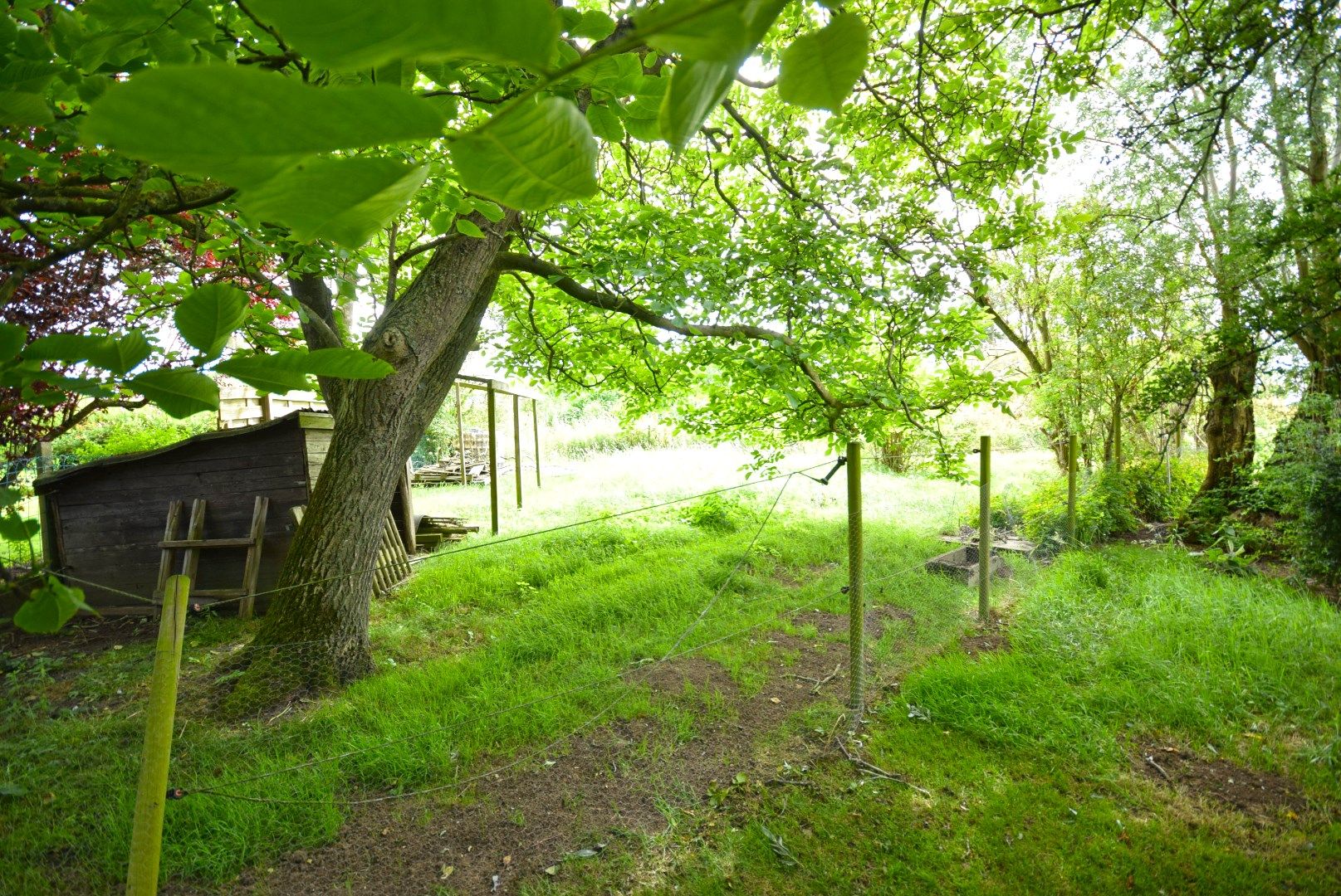 Twee aan elkaar geschakelde bungalows - Ideaal voor kangoeroewonen of praktijk/kantoor aan huis foto 4