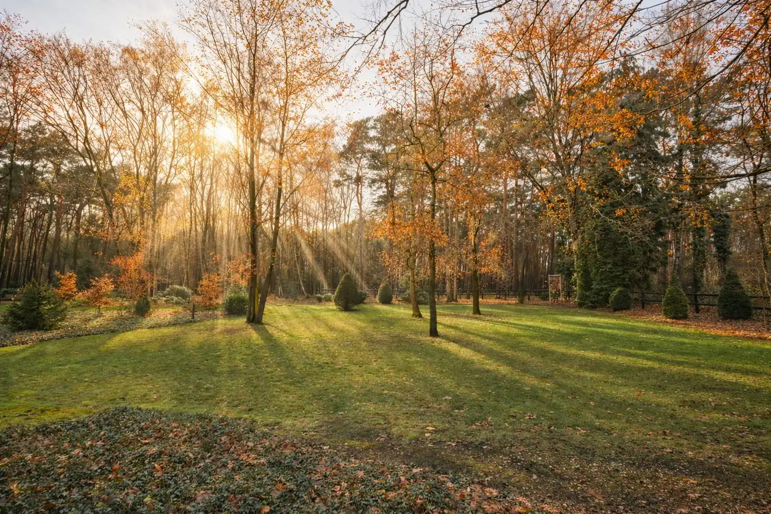 Hier woon je waar rust, ruimte en natuur samenvloeien foto 2