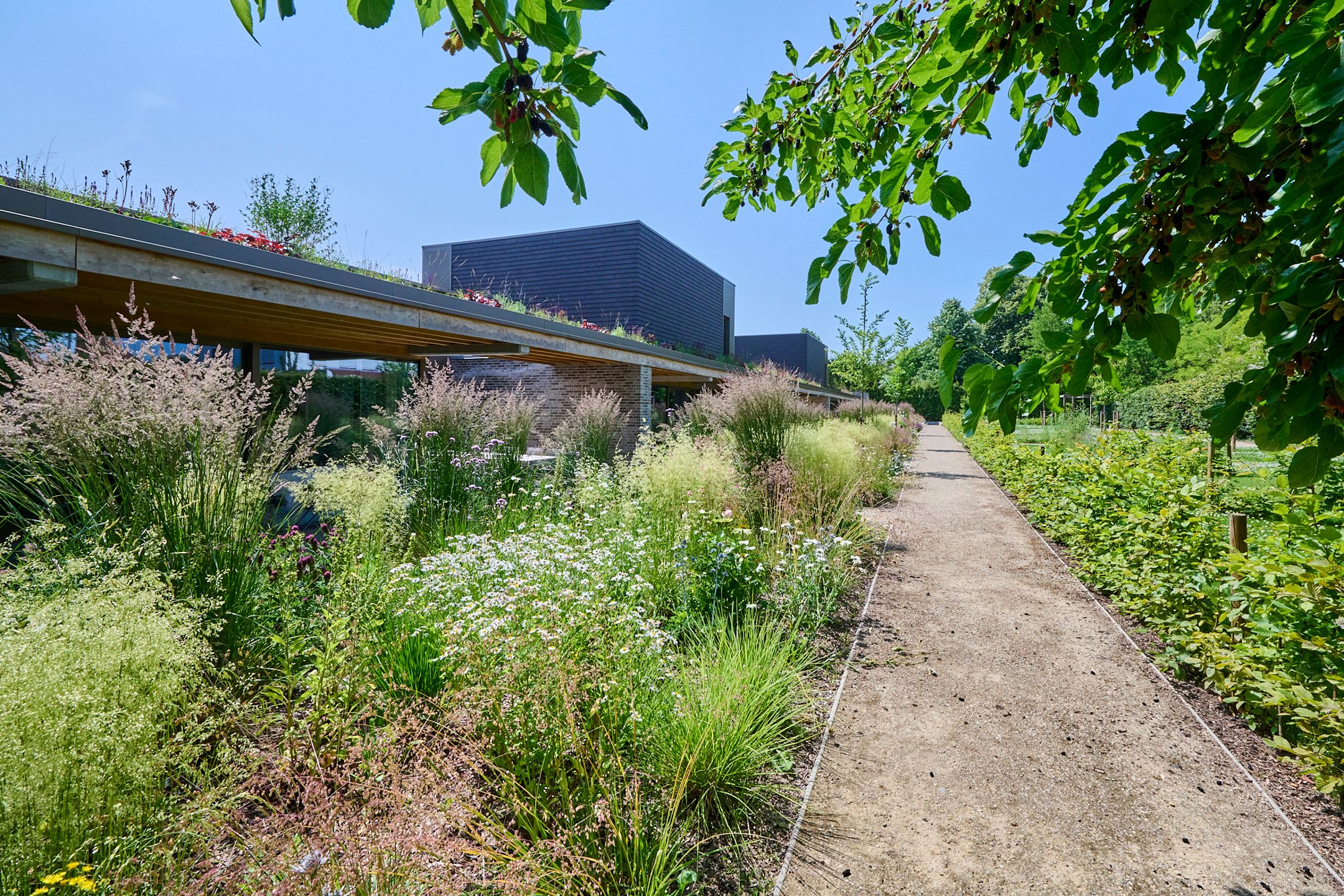 EXCLUSIEVE TUINLOFT GROOT TERRAS MET E-PEIL 0! foto 16