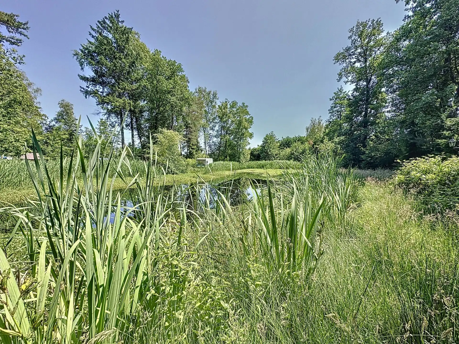 Uniek stuk recreatiegrond met vijver en bouwmogelijkheid – 2154 m². foto 8