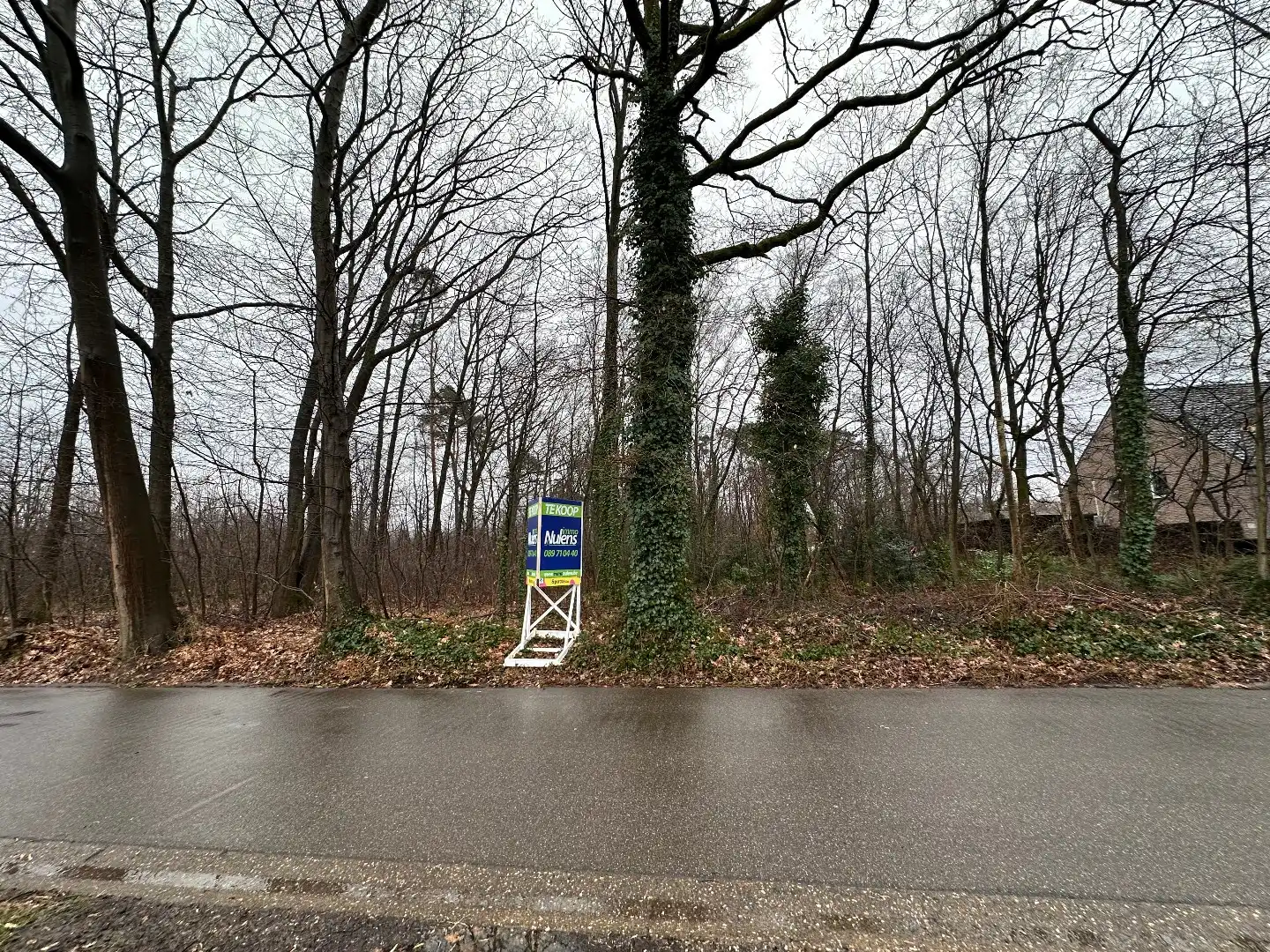 2 BOUWGRONDEN VOOR OPEN BEBOUWING EN ACHTERLIGGENDE GRONDEN in de bosrijke villabuurt op de Bosstraat te Lanaken!  foto 13