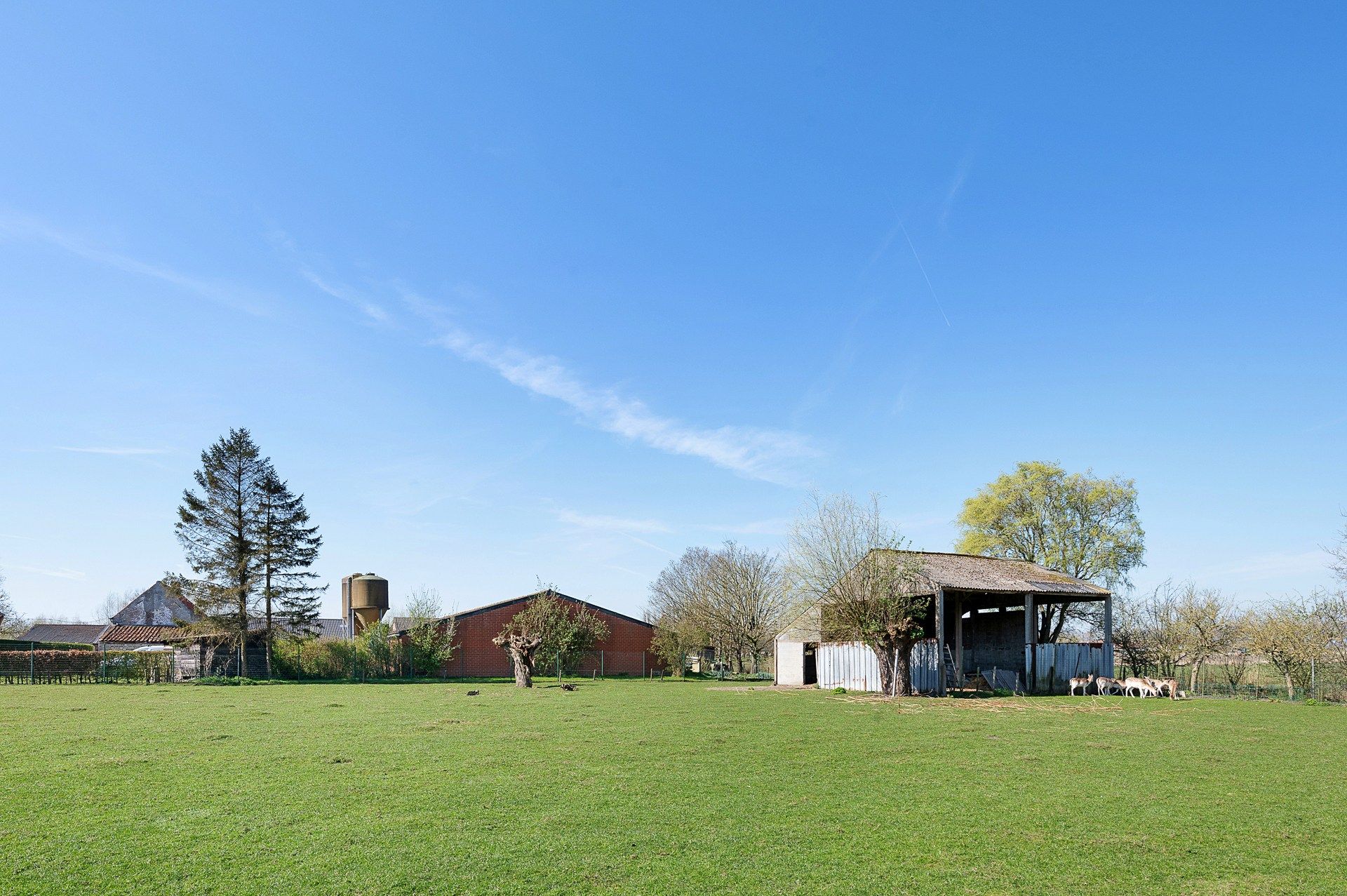 Hoeve schitterend gelegen te Damme foto 19