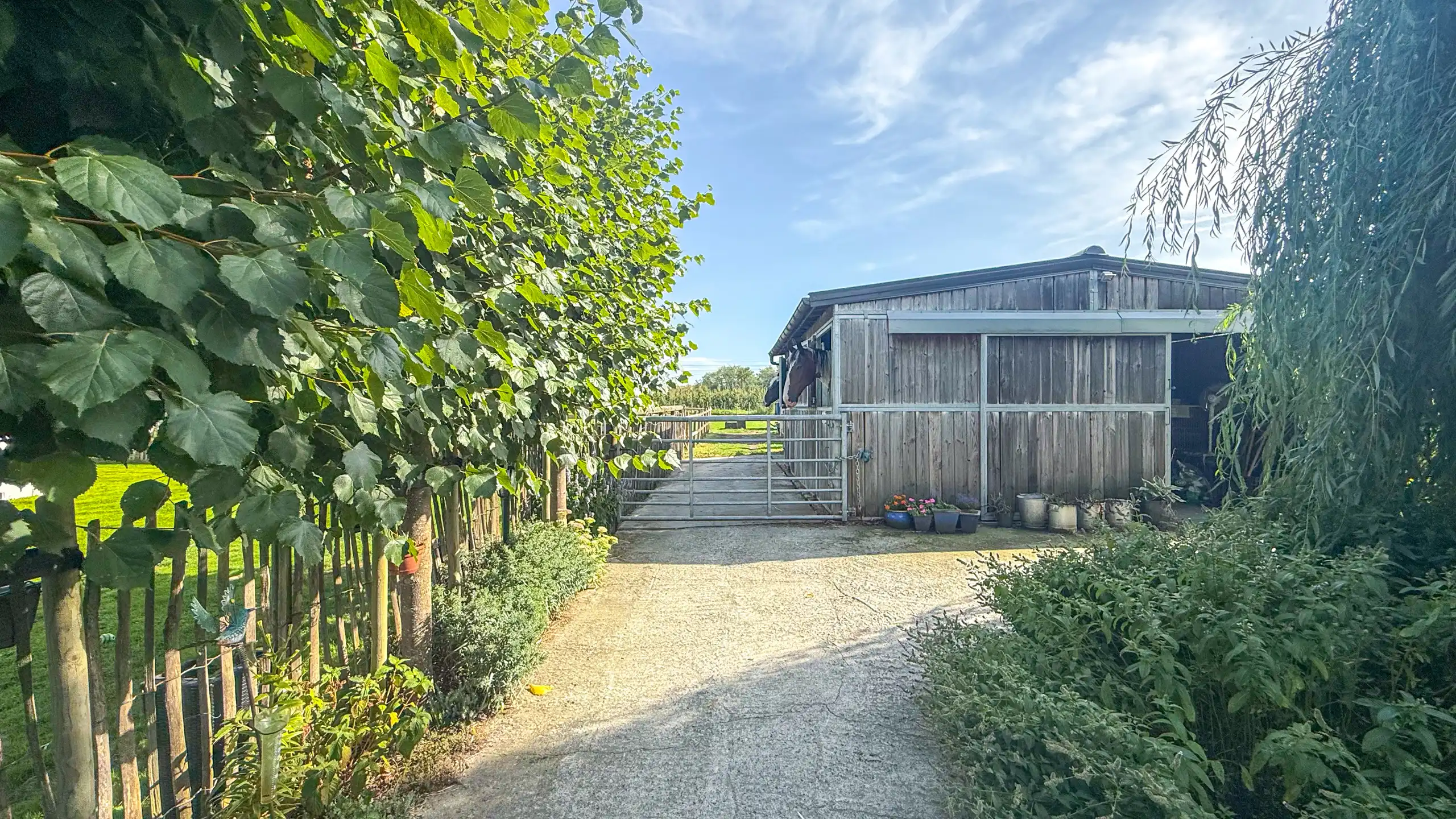 Landelijke woning met 6 slpks op perceel van 36a 70ca! foto 56