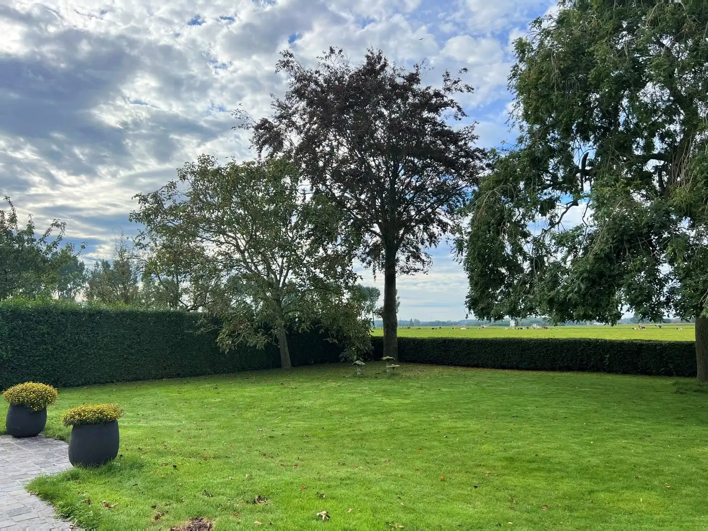 Prachtige karaktervolle villa op groot perceel nabij invalswegen foto 23