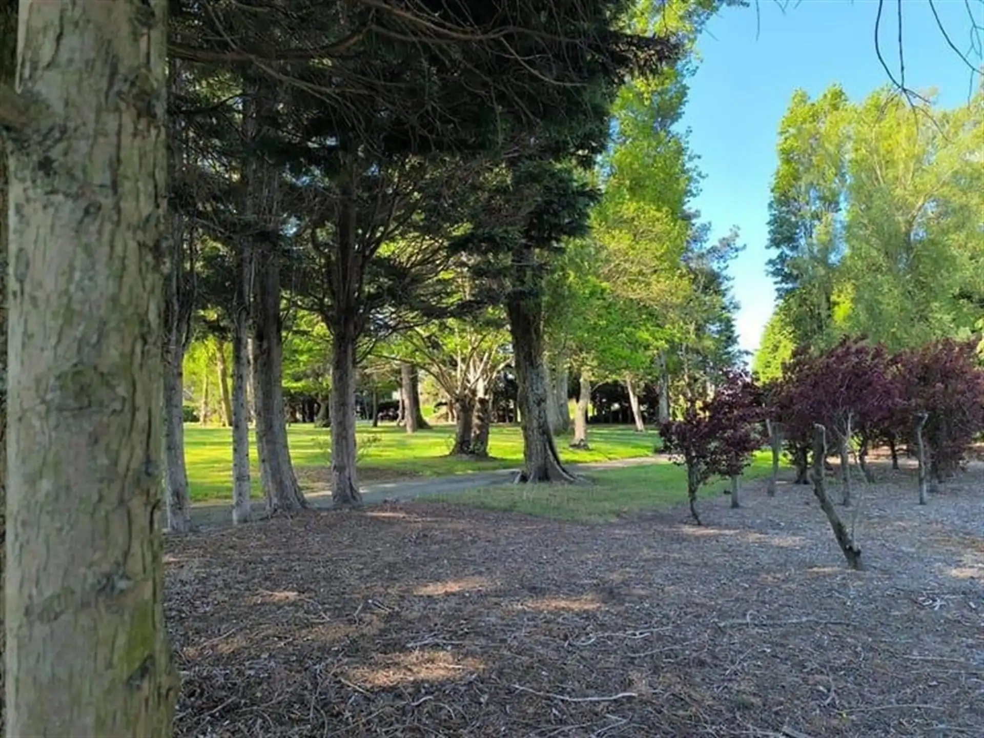 Ruim 2 slaapkamer appartement met zonnig terras.  foto 21