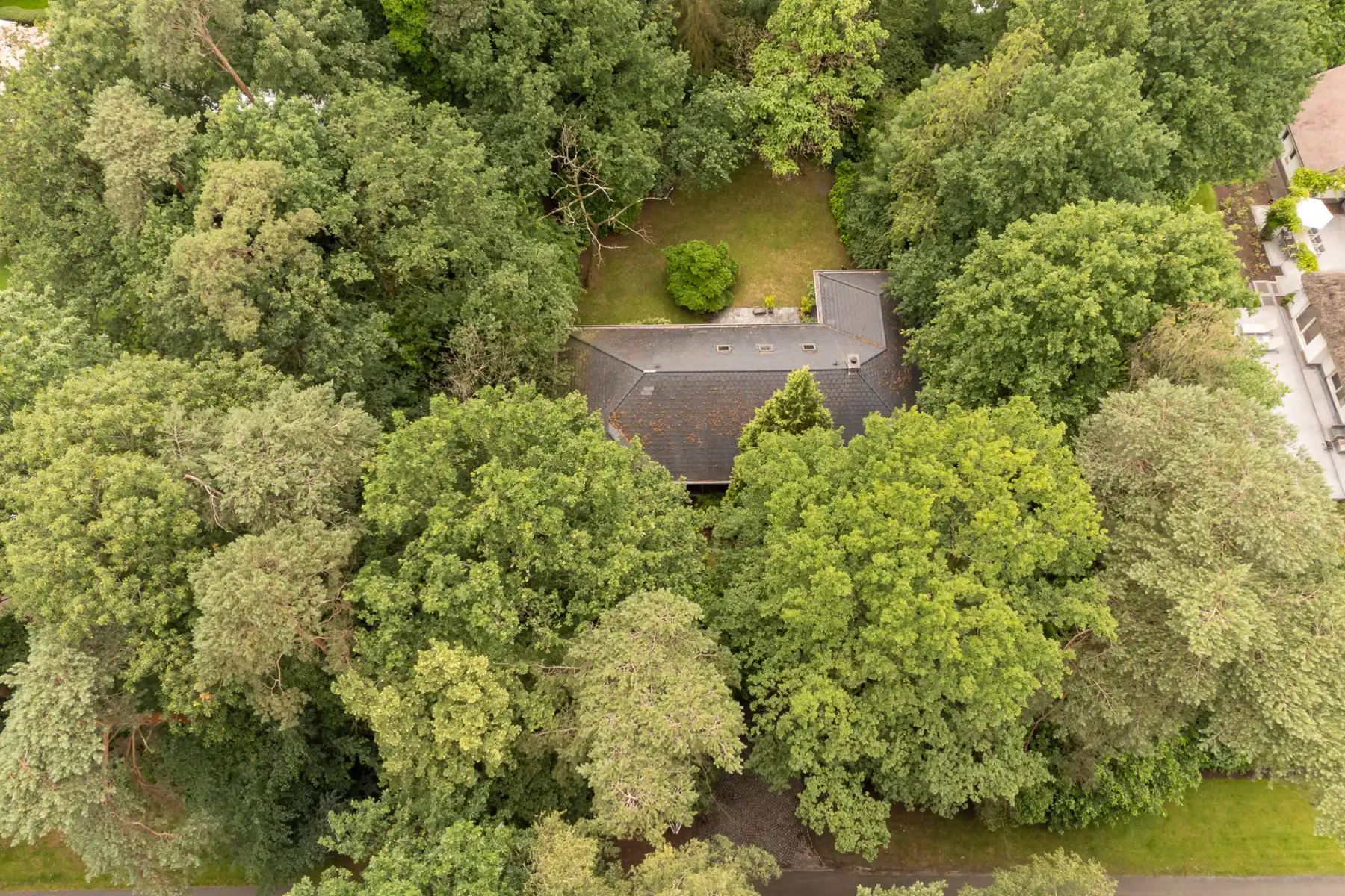 Hof Ter Linden volledig te renoveren villa op 2000 m² foto 29