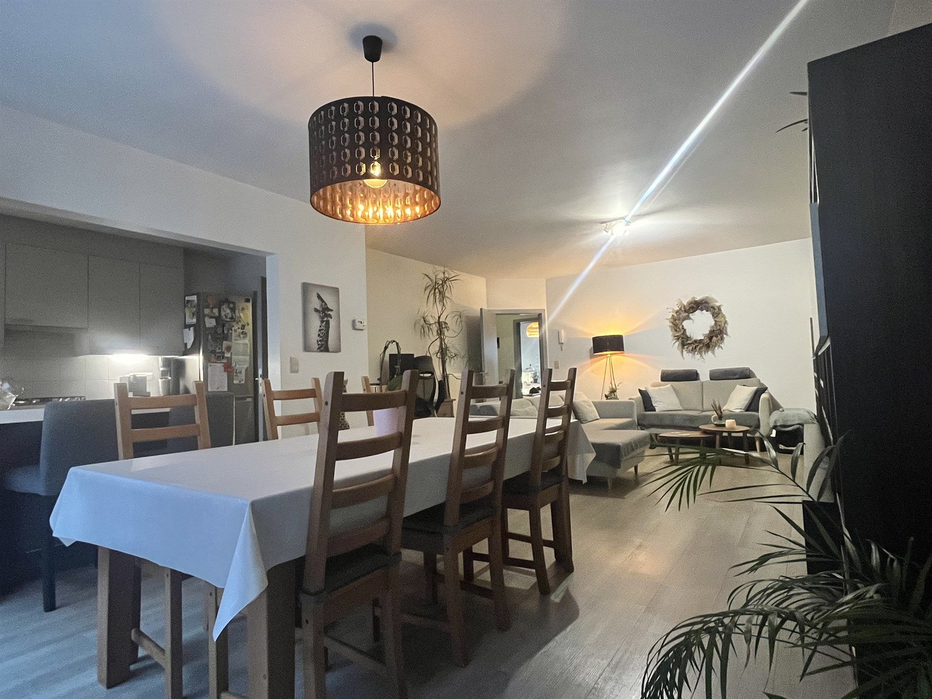 Ruim gelijkvloers 3 slpk-appartement met tuin én garagebox! foto 2