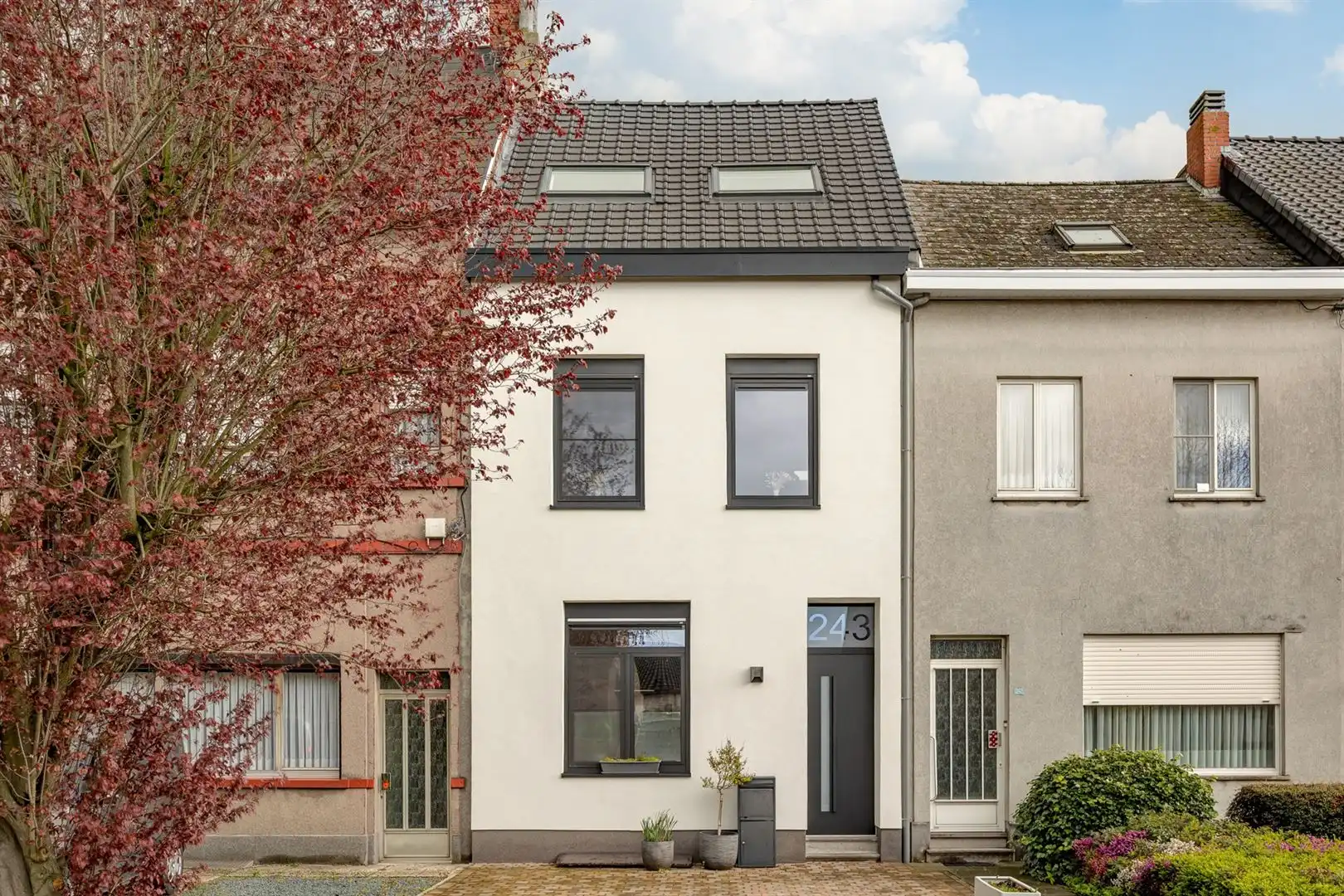 Verrassend ruime woning met 7 slaapkamers en tuin. foto {{pictureIndex}}