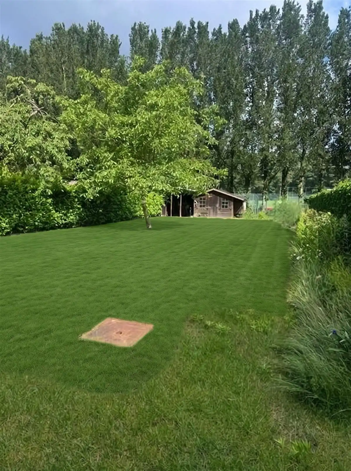 Ruime gezinswoning met grote tuin in groene omgeving foto 6