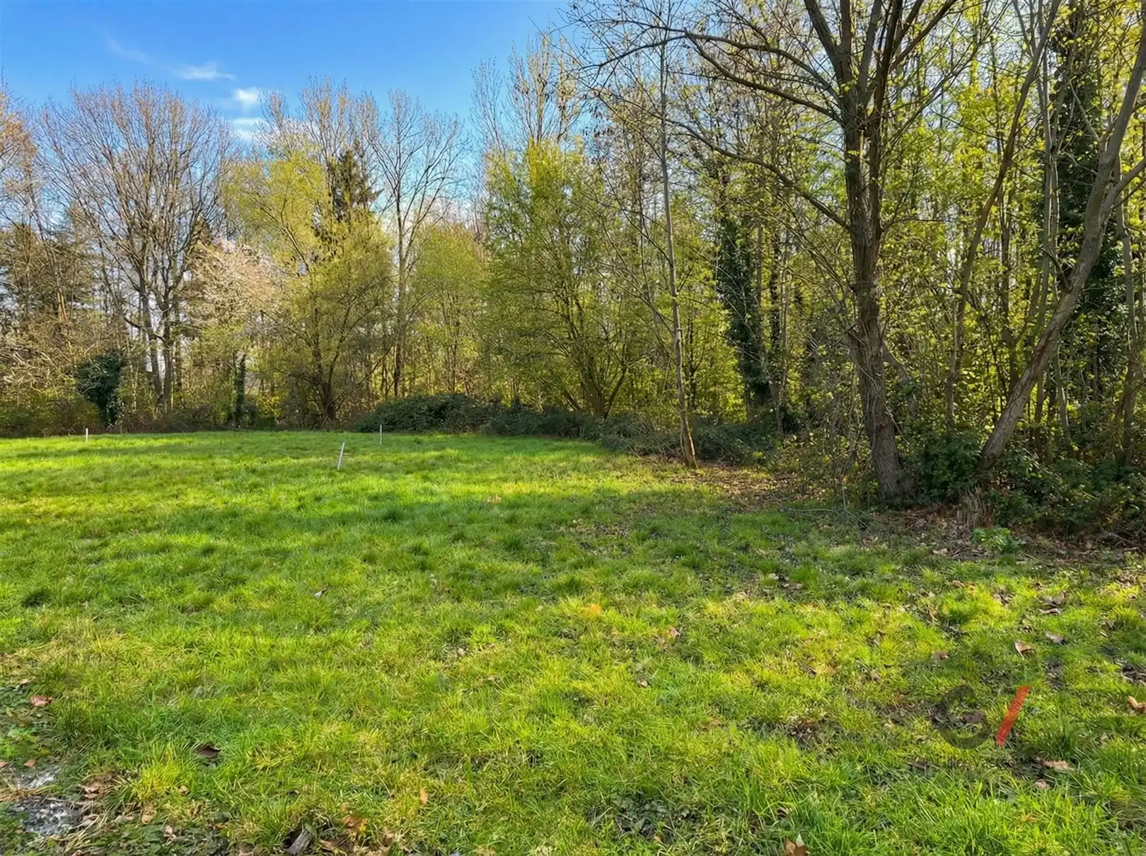 Gerenoveerde magazijnruimte met buitenruimte foto 8