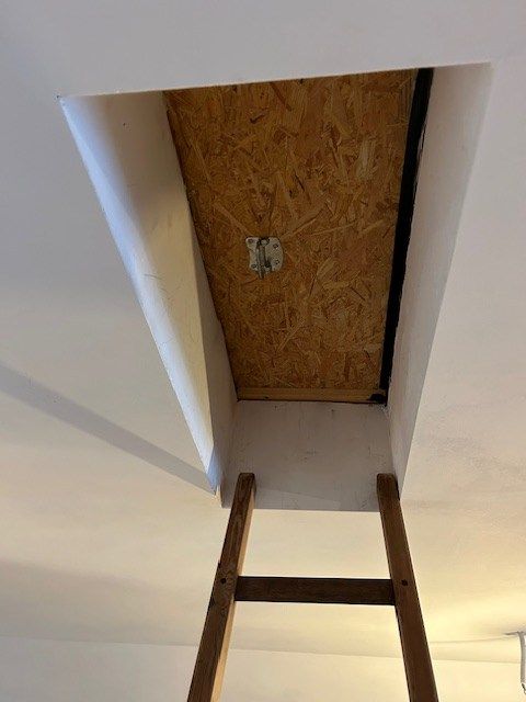 Niet enkel in een oester kan u een pareltje vinden... foto 28