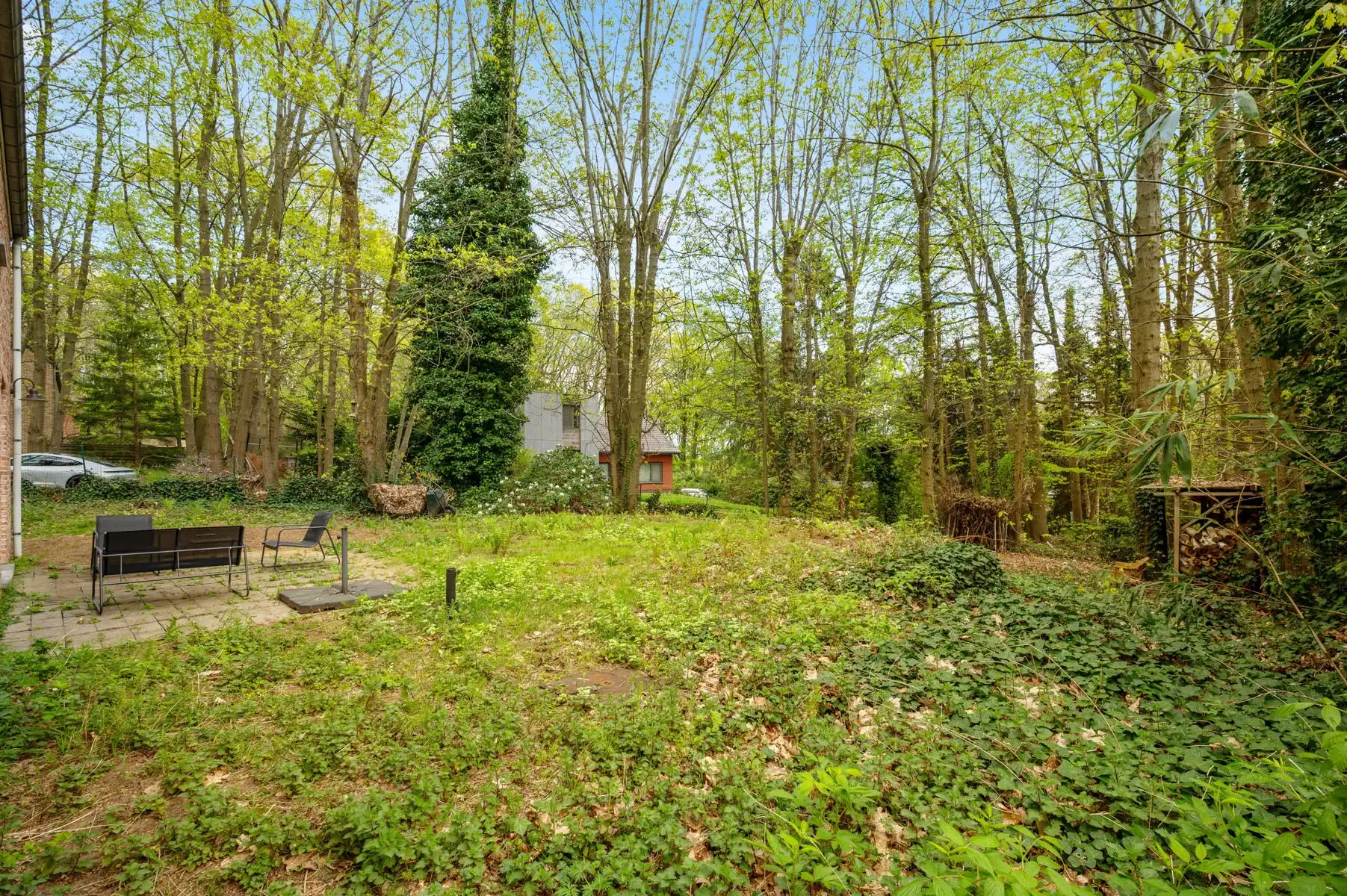 Villa in prachtige groene omgeving te ROTSELAAR foto 22