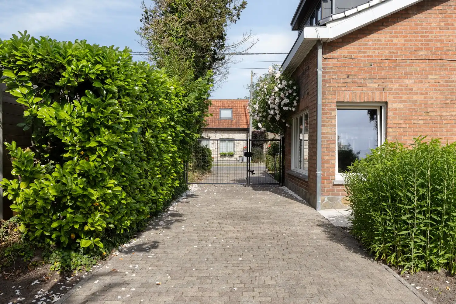 Hoofdfoto van de publicatie: Te koop in Veldegem: Ruime gezinswoning met 5 slaapkamers, garage en riante, pittoreske tuin