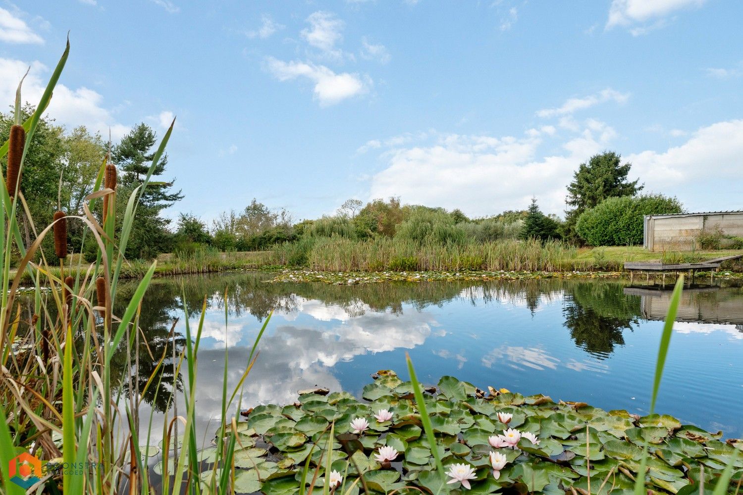 Woning met 4 slpkrs op een perceel van 13.598 m² te Sint-Katelijne-Waver foto 29