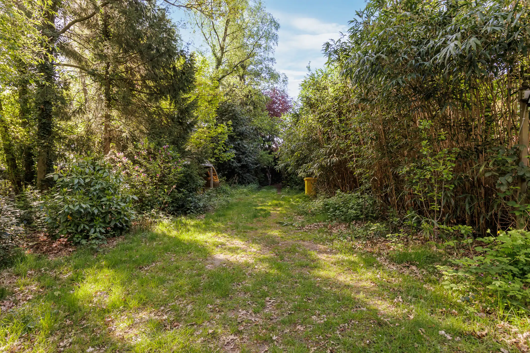 Gezellige, op te frissen, vakantiewoning nabij het kanaal Dessel-Schoten. foto 30
