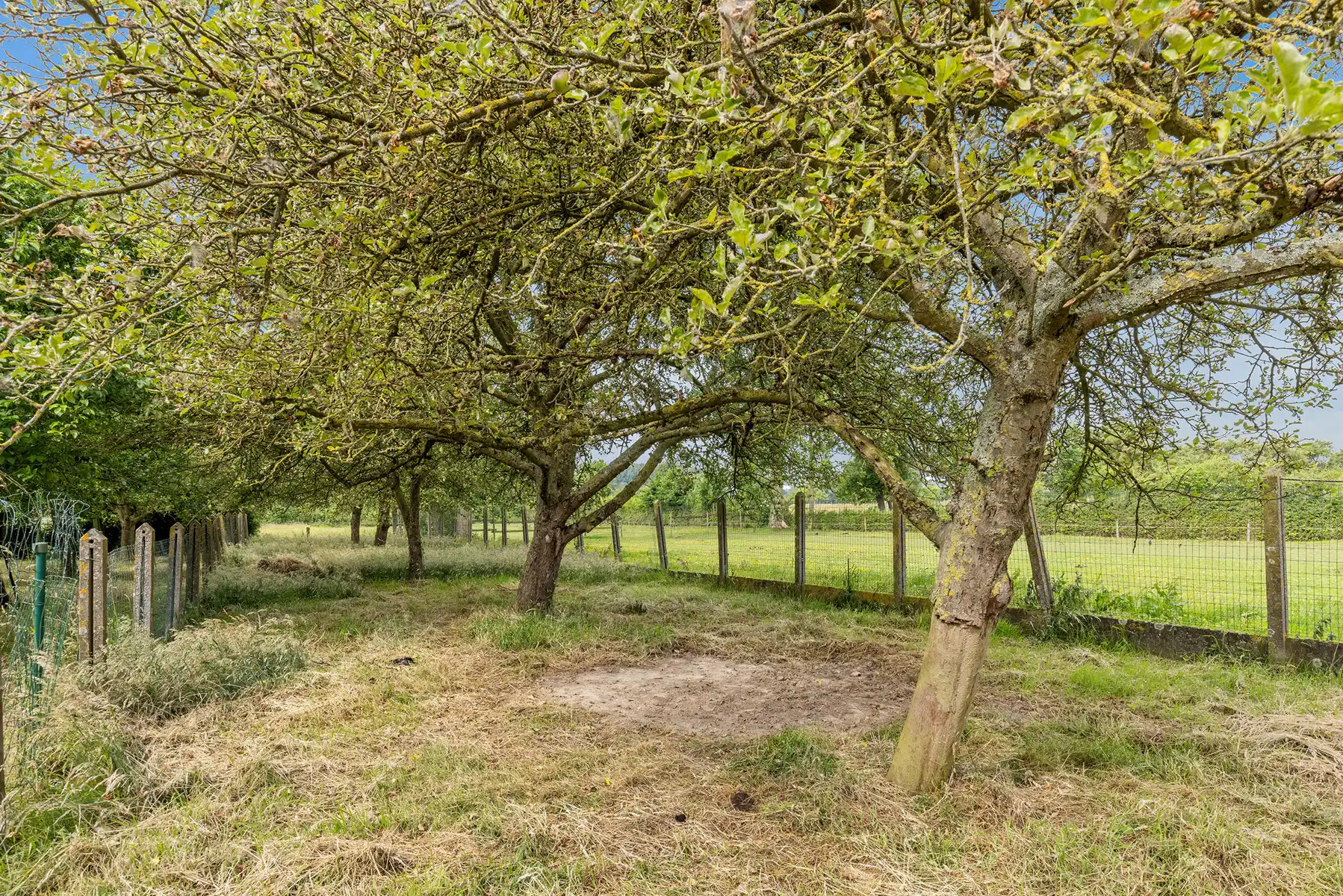 BAMBRUGGE - Uitzonderlijke woning met tuin op toplocatie foto 27