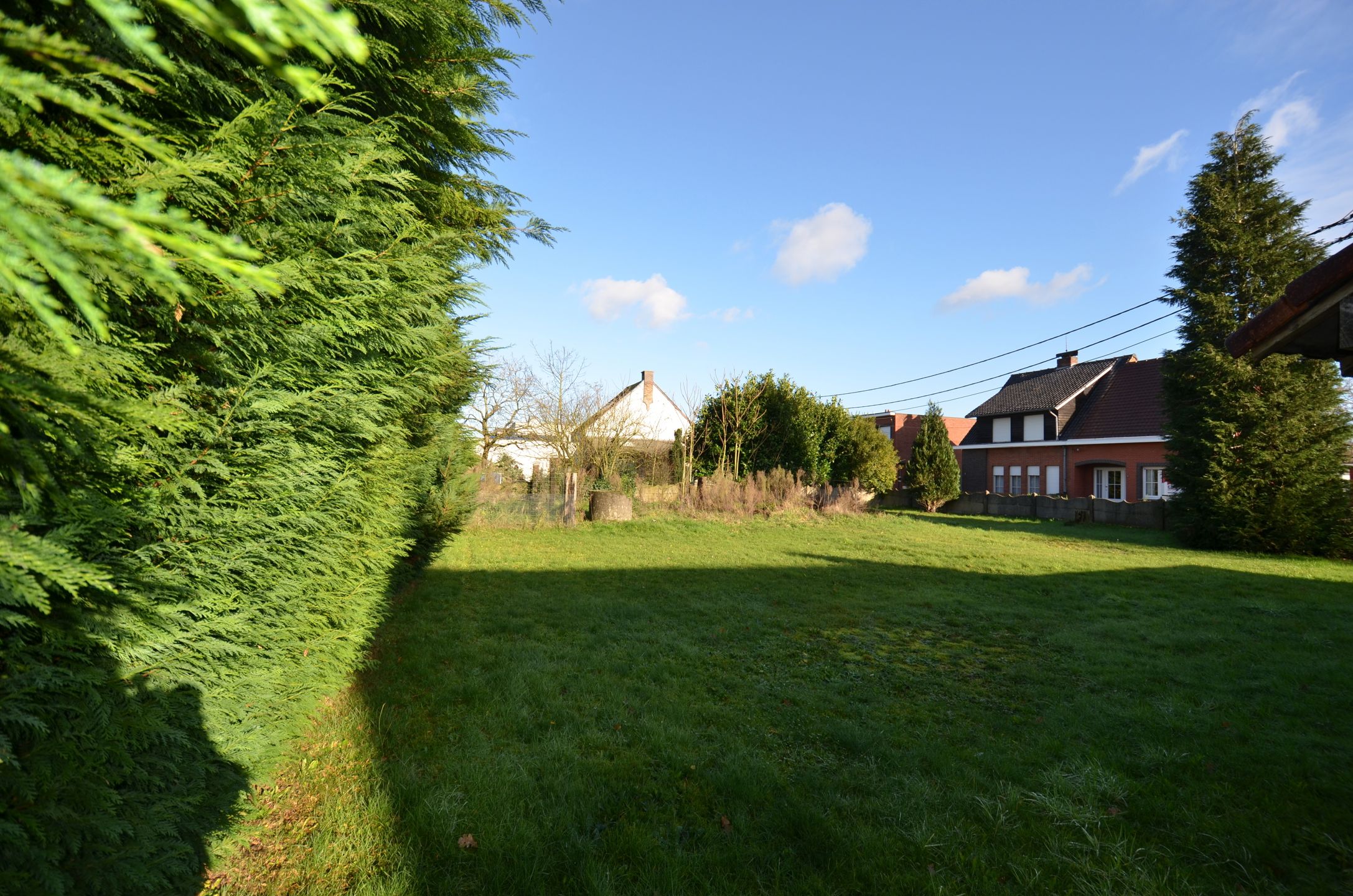 Projectgrond foto 4