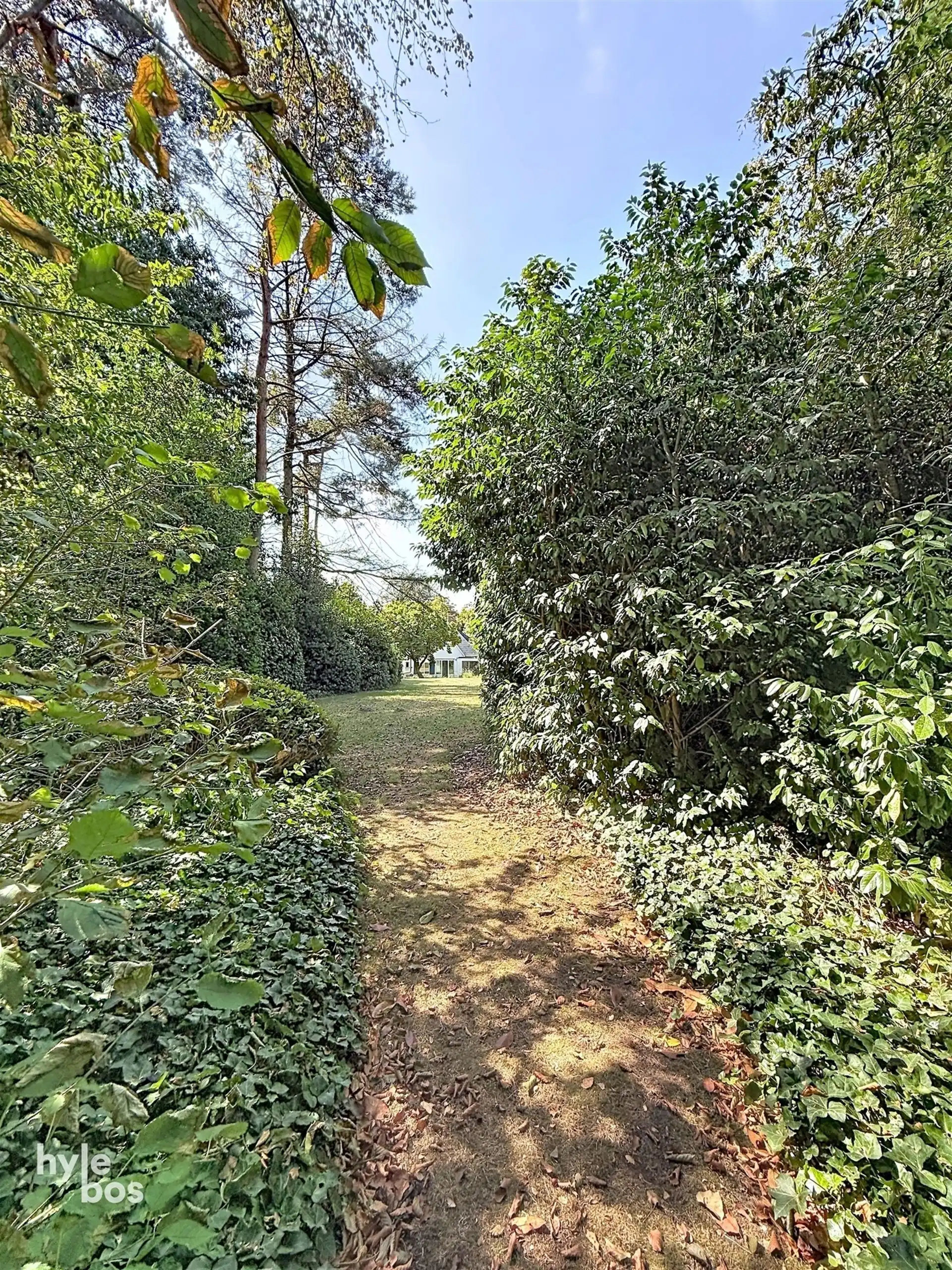 Ruime open bebouwing met zeer grote tuin foto 29