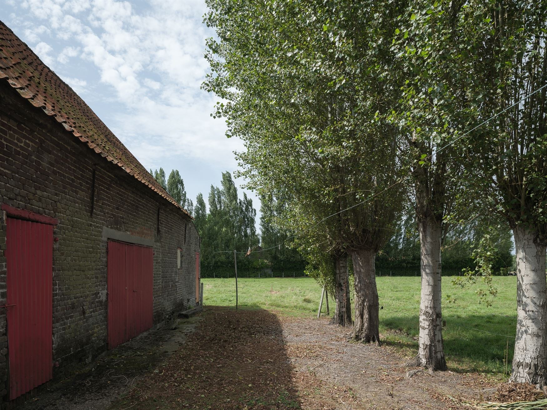 Hoeve met bijgebouwen op riant perceel foto 8