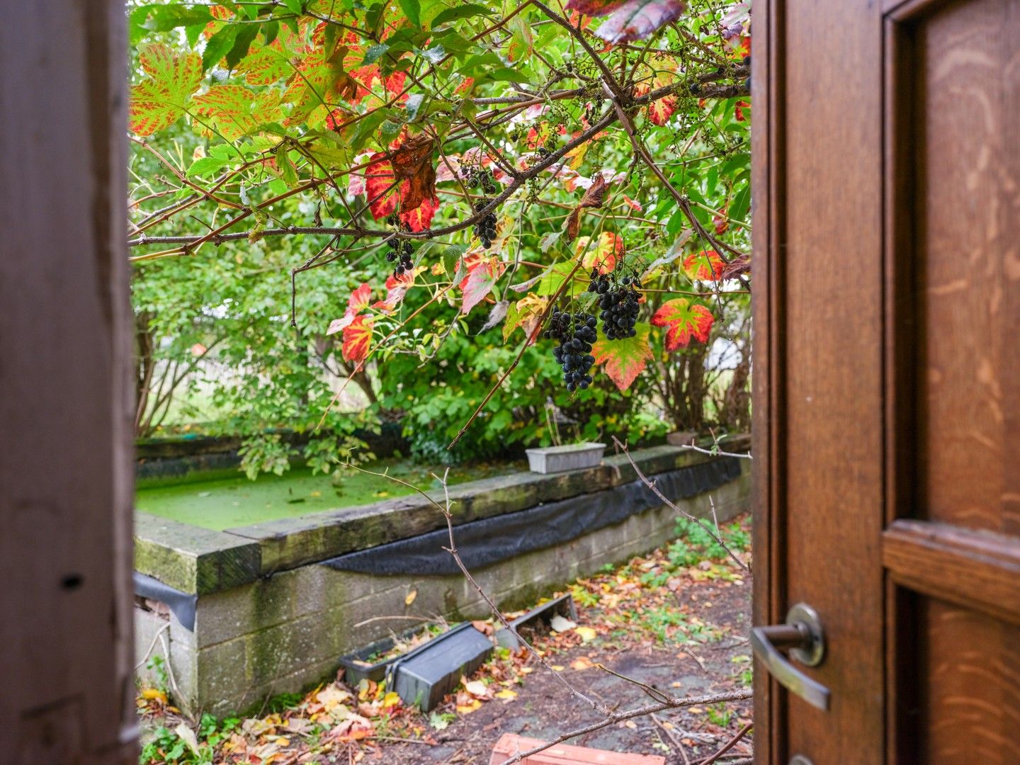 Karaktervolle voormalige pastorie met tuin in het hart van Erondegem foto 12